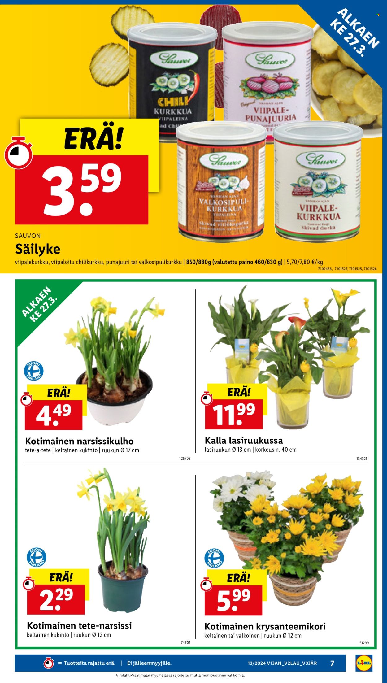Lidl tarjoukset - 27.03.2024 - 03.04.2024. Sivu 9