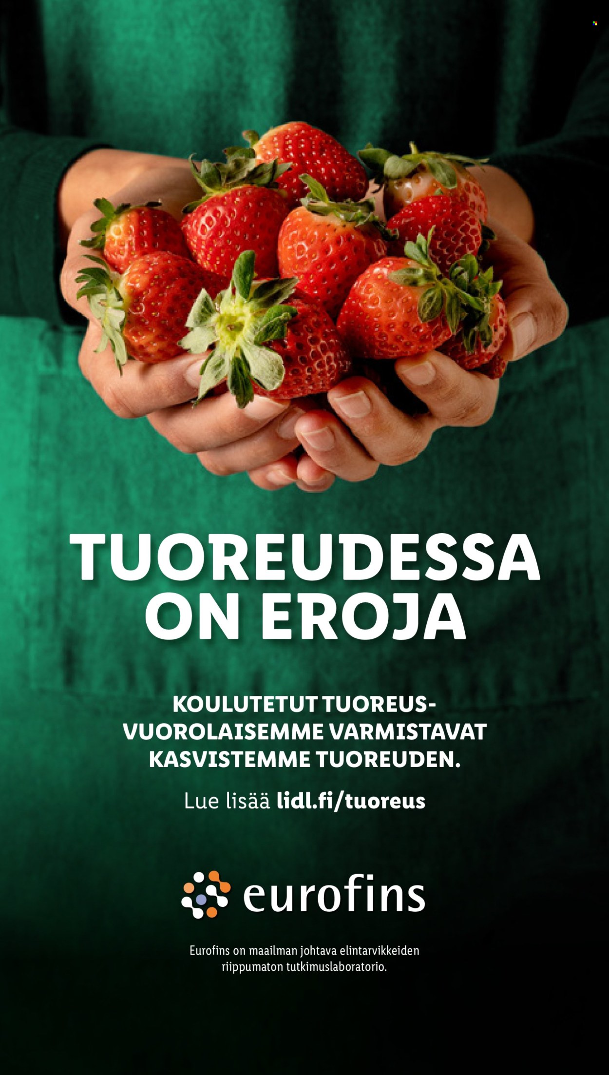 Lidl tarjoukset - 27.03.2024 - 03.04.2024. Sivu 24