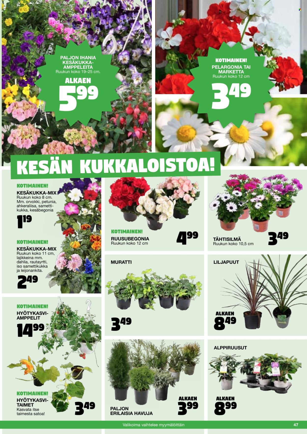 Tokmanni tarjoukset. Sivu 47