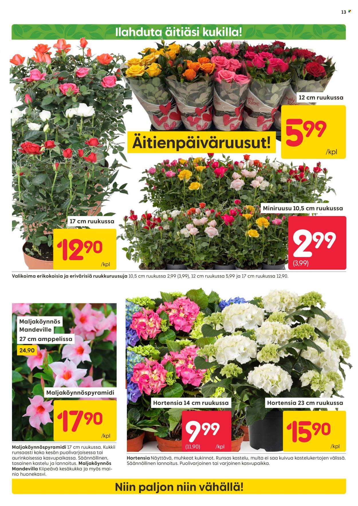 Rusta tarjoukset - 29.04.2024 - 05.05.2024. Sivu 13