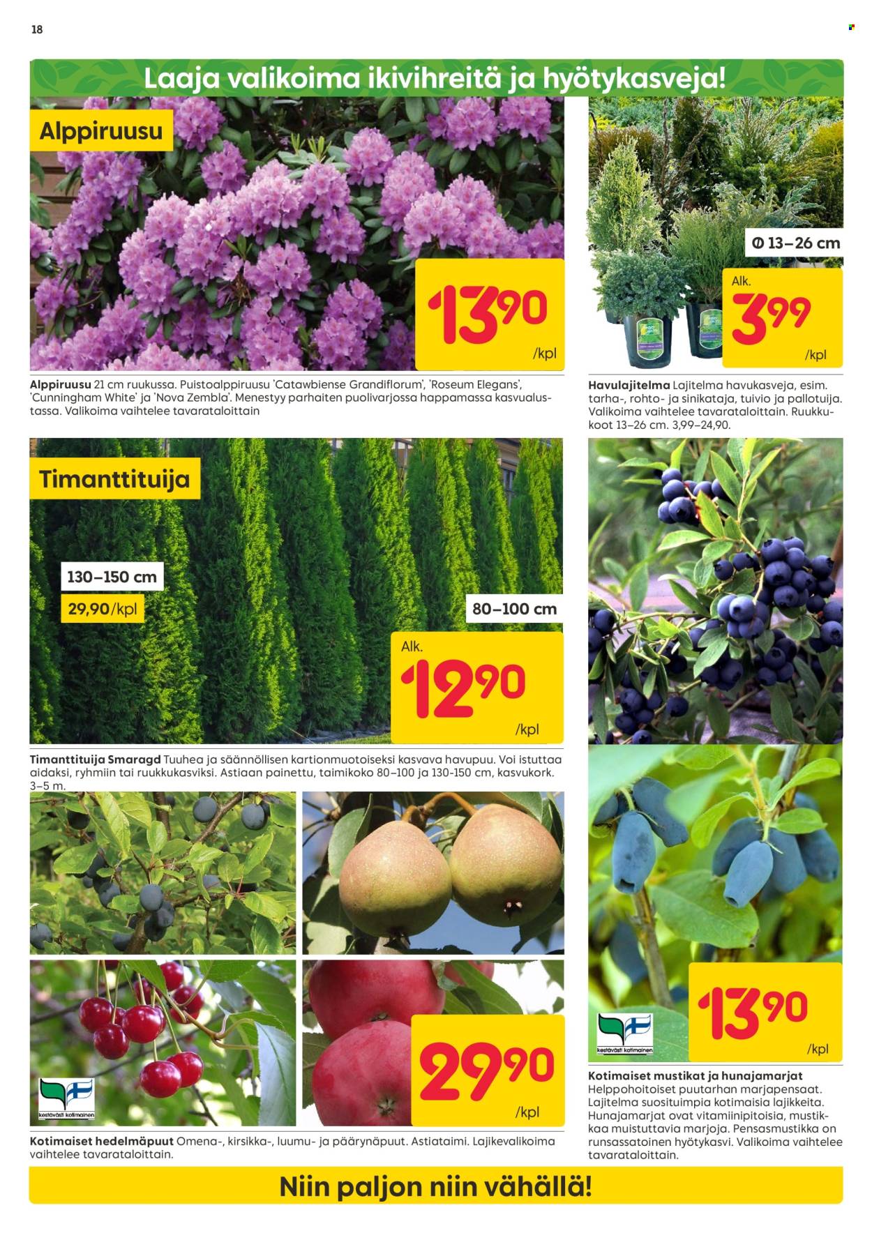 Rusta tarjoukset - 29.04.2024 - 05.05.2024. Sivu 18