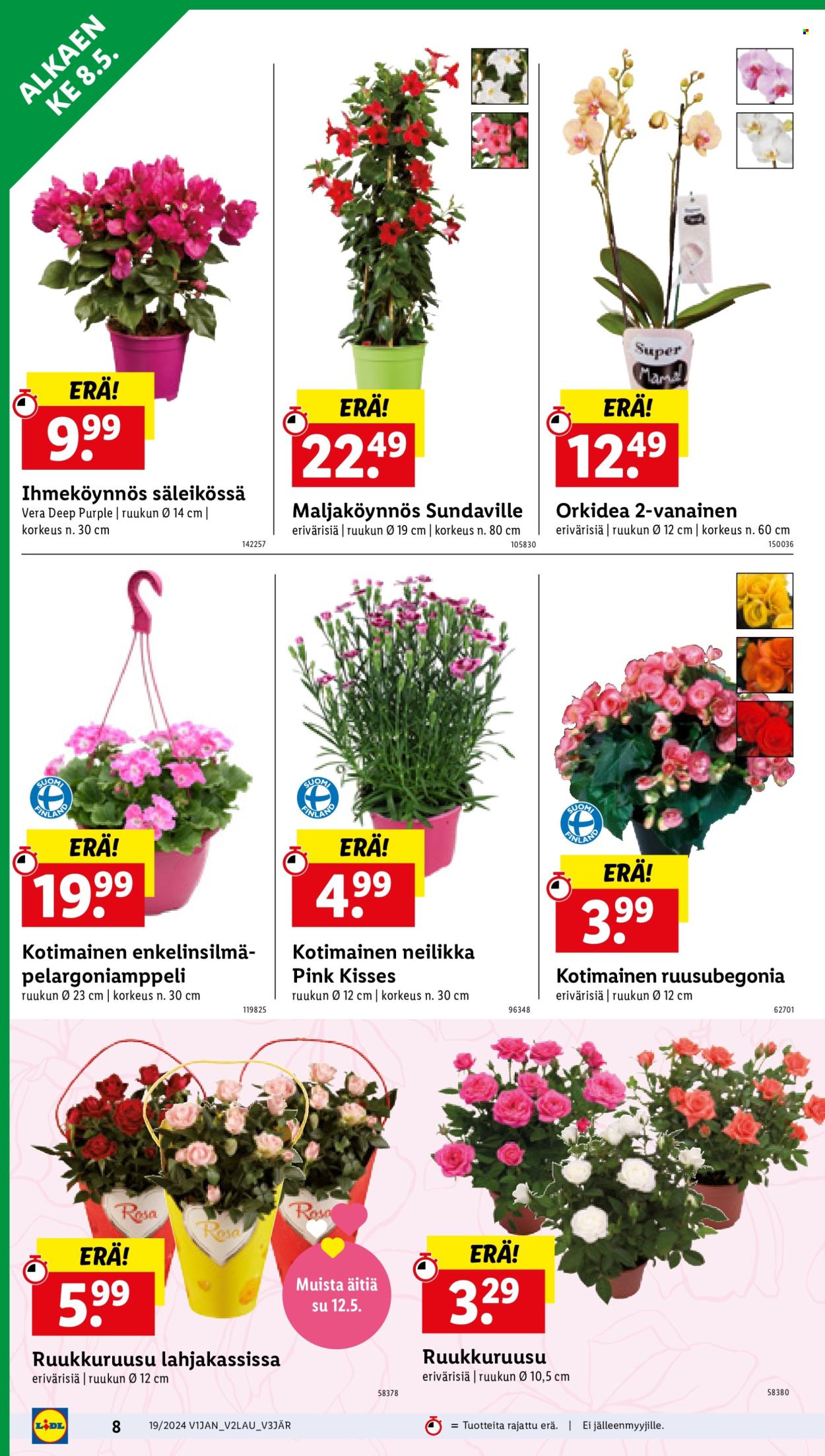 Lidl tarjoukset - 08.05.2024 - 15.05.2024. Sivu 12