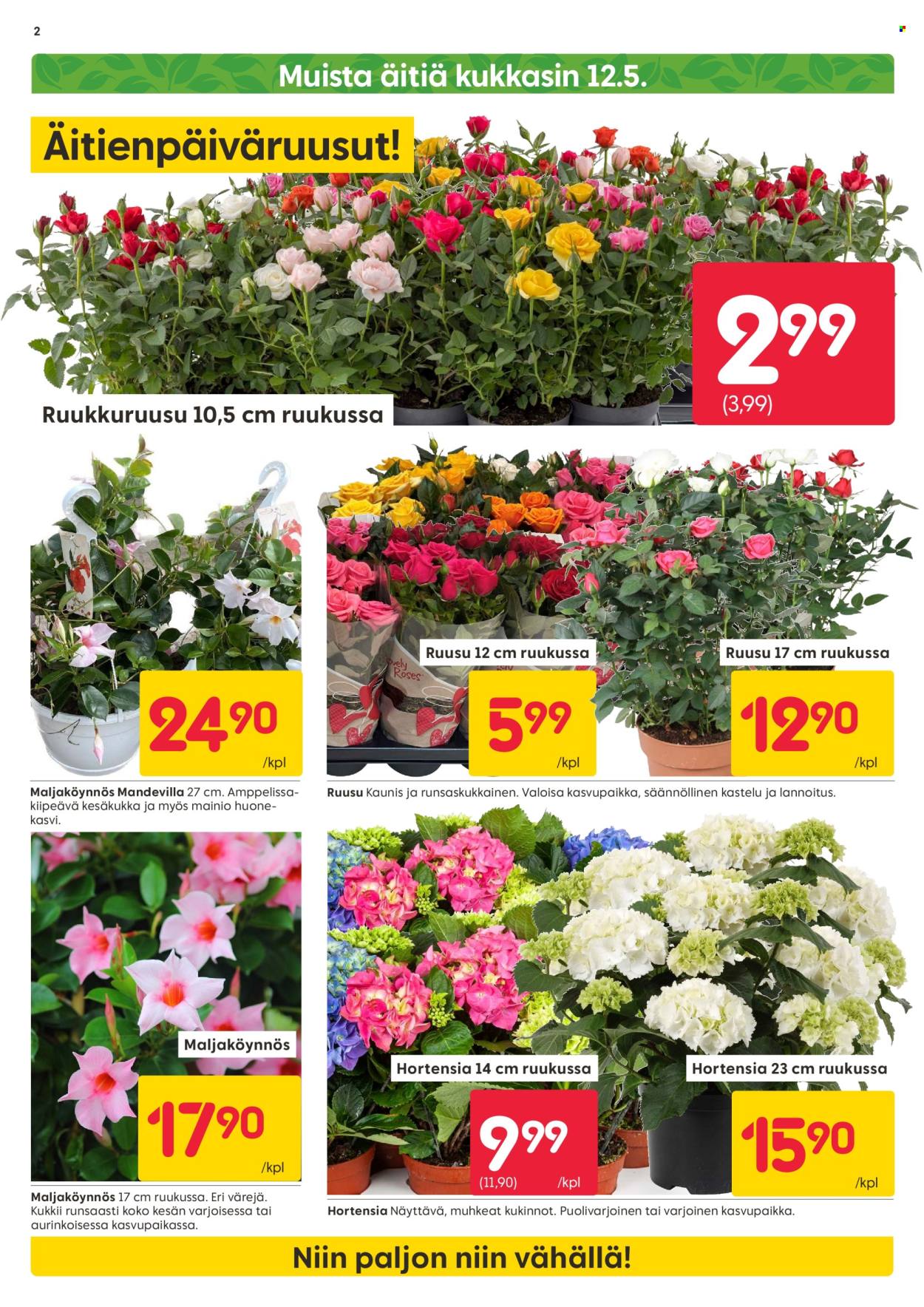 Rusta tarjoukset - 06.05.2024 - 12.05.2024. Sivu 2