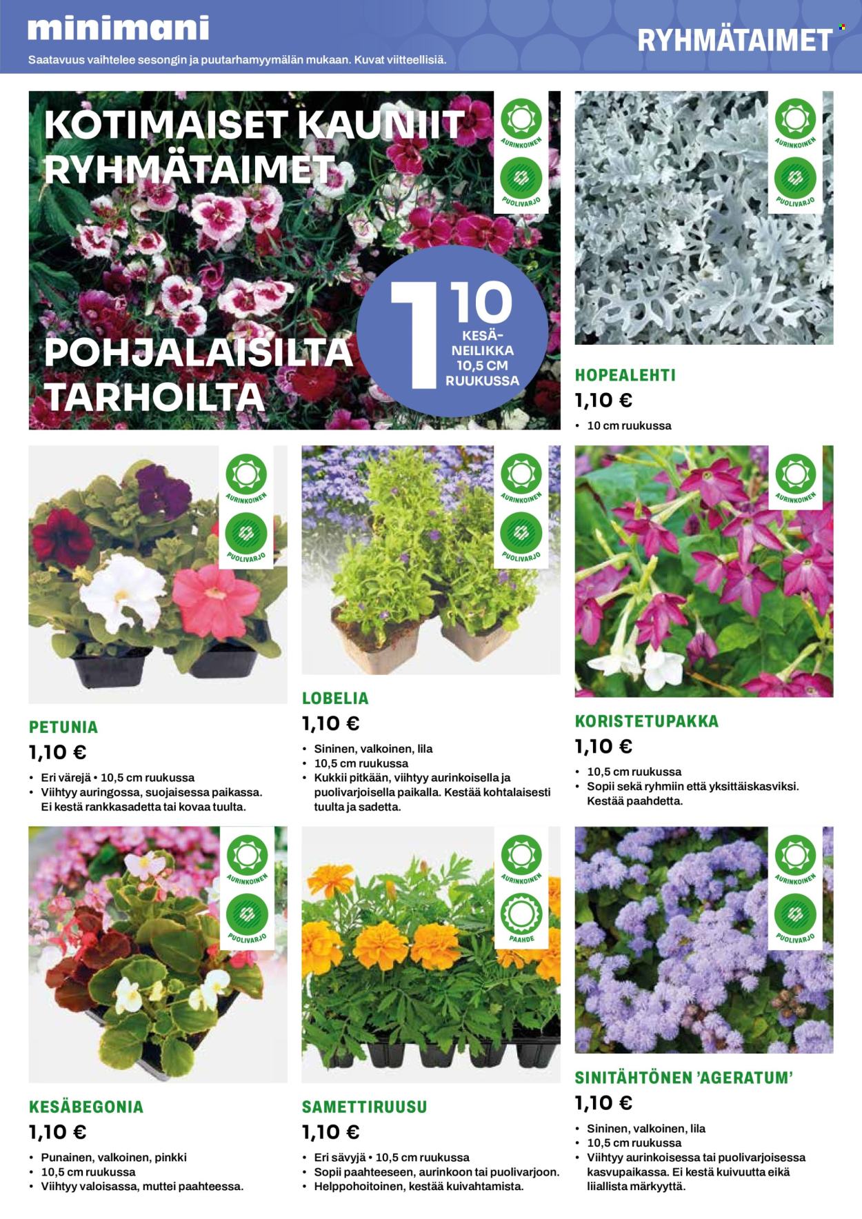 Minimani tarjoukset. Sivu 11