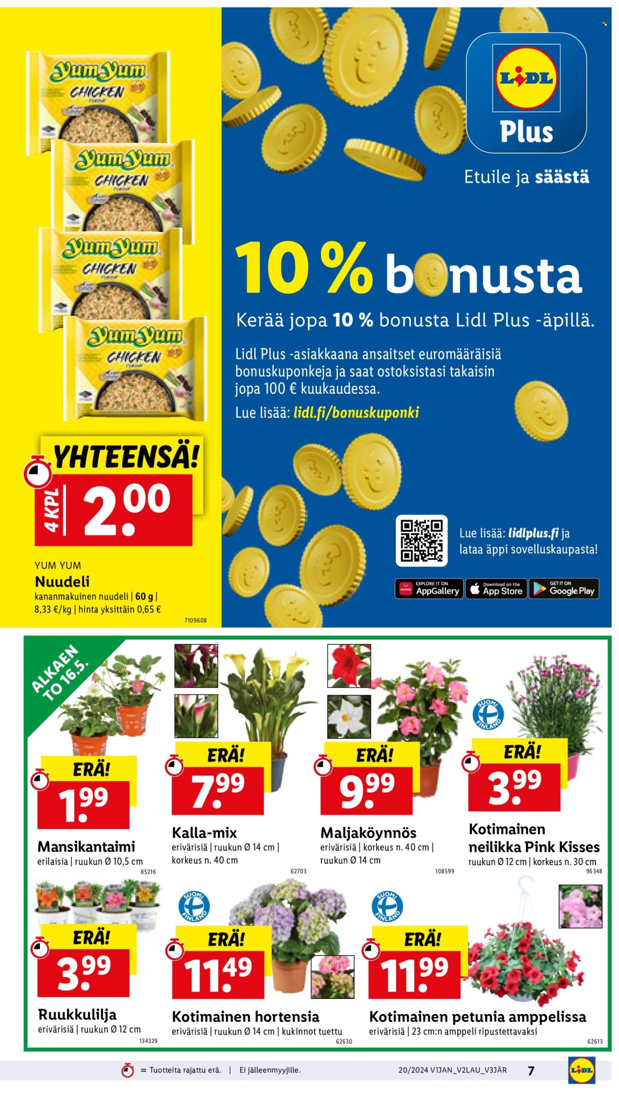 Lidl tarjoukset - 16.05.2024 - 22.05.2024. Sivu 9