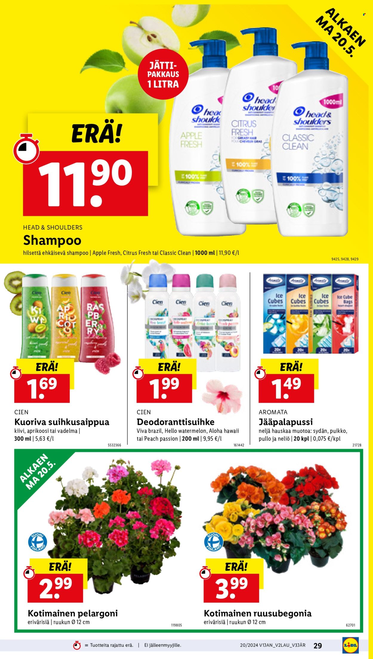 Lidl tarjoukset - 16.05.2024 - 22.05.2024. Sivu 36