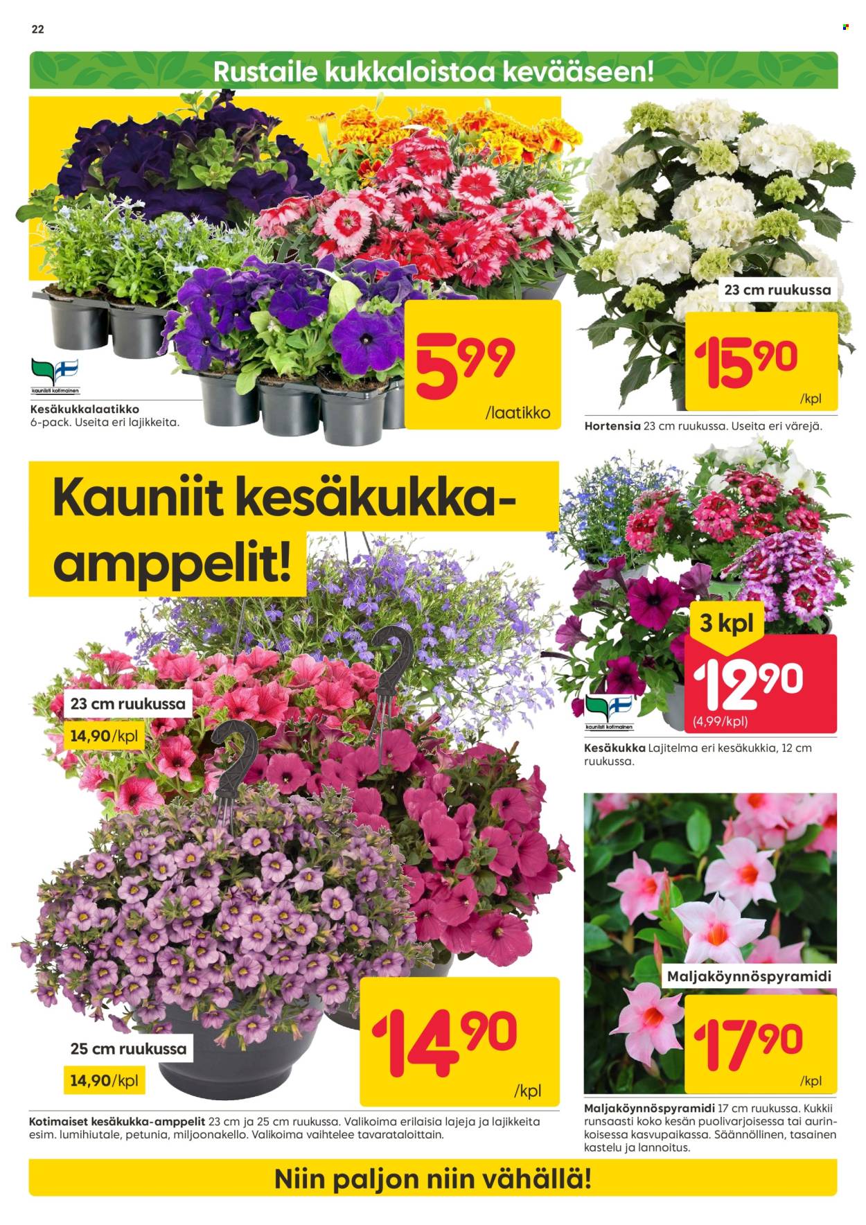 Rusta tarjoukset - 20.05.2024 - 26.05.2024. Sivu 22