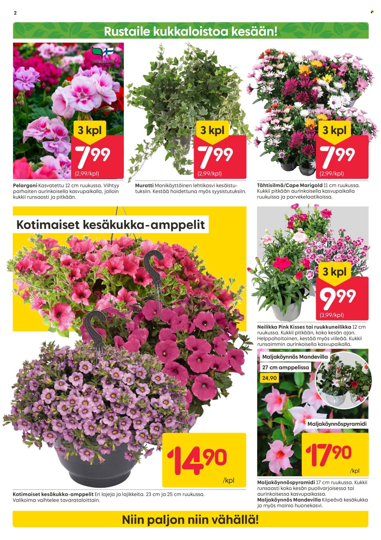 Rusta tarjoukset - 27.05.2024 - 02.06.2024. Sivu 2