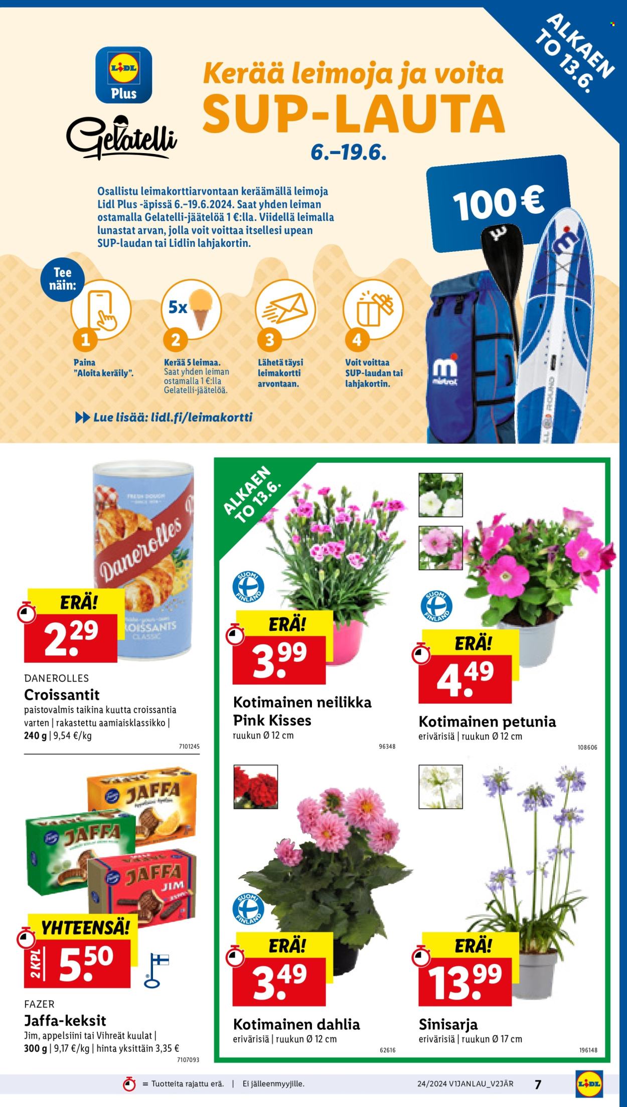 Lidl tarjoukset - 13.06.2024 - 18.06.2024. Sivu 9