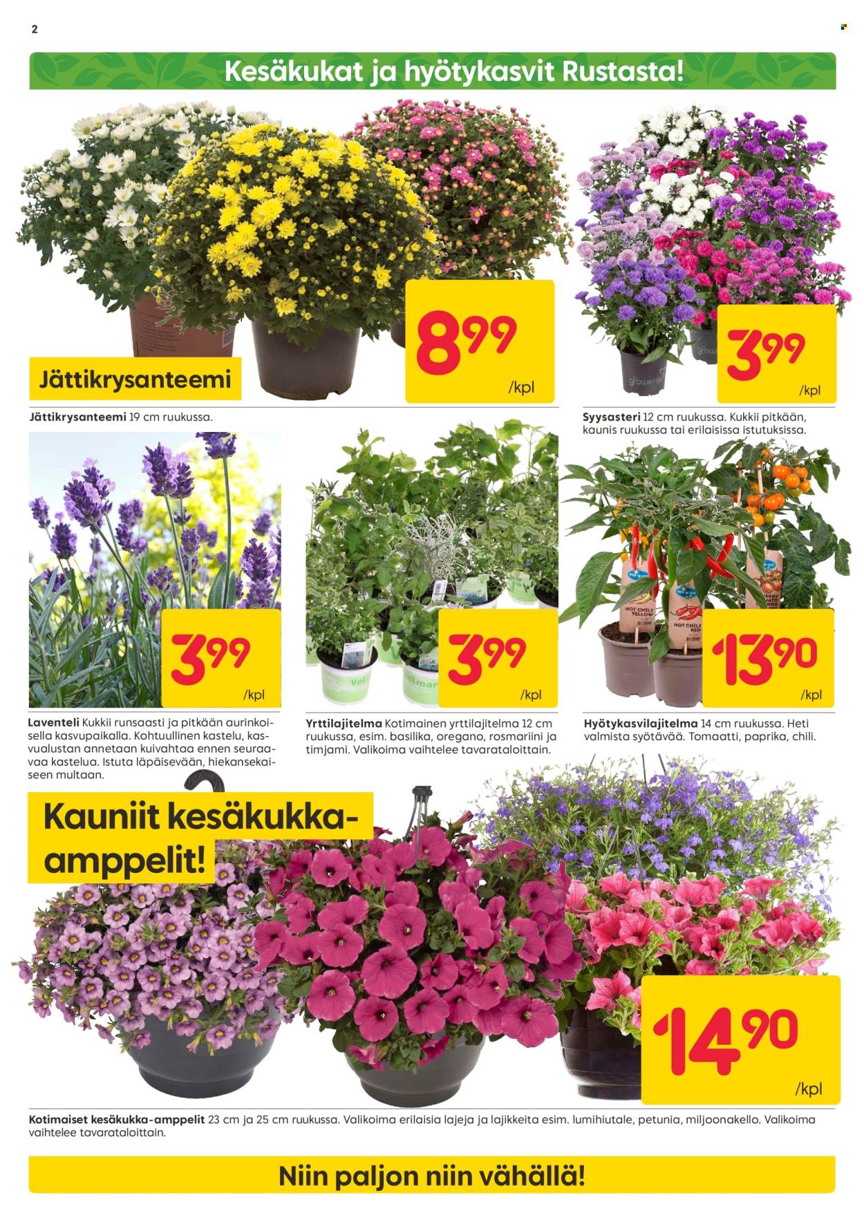 Rusta tarjoukset - 10.06.2024 - 16.06.2024. Sivu 2