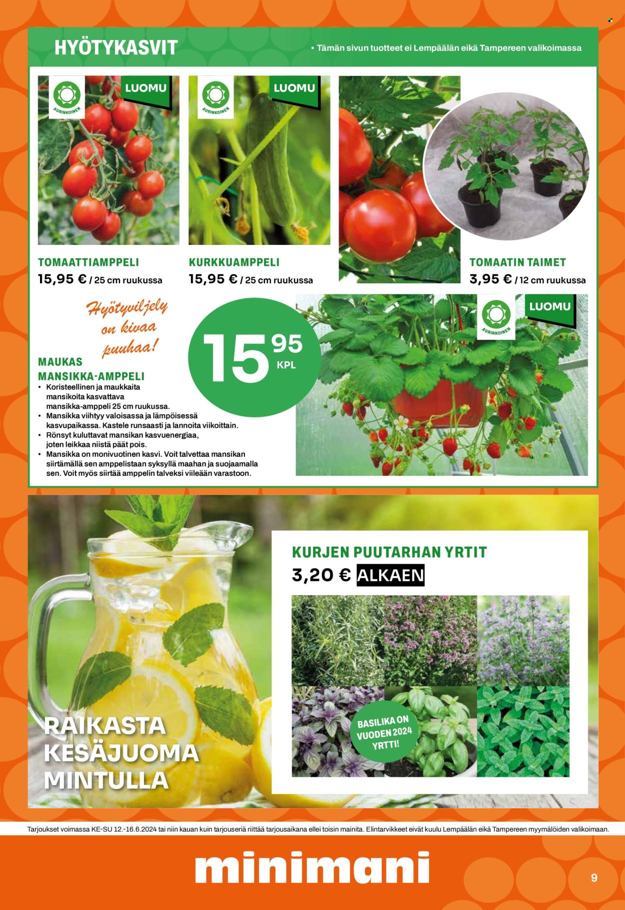 Minimani tarjoukset - 12.06.2024 - 16.06.2024. Sivu 9