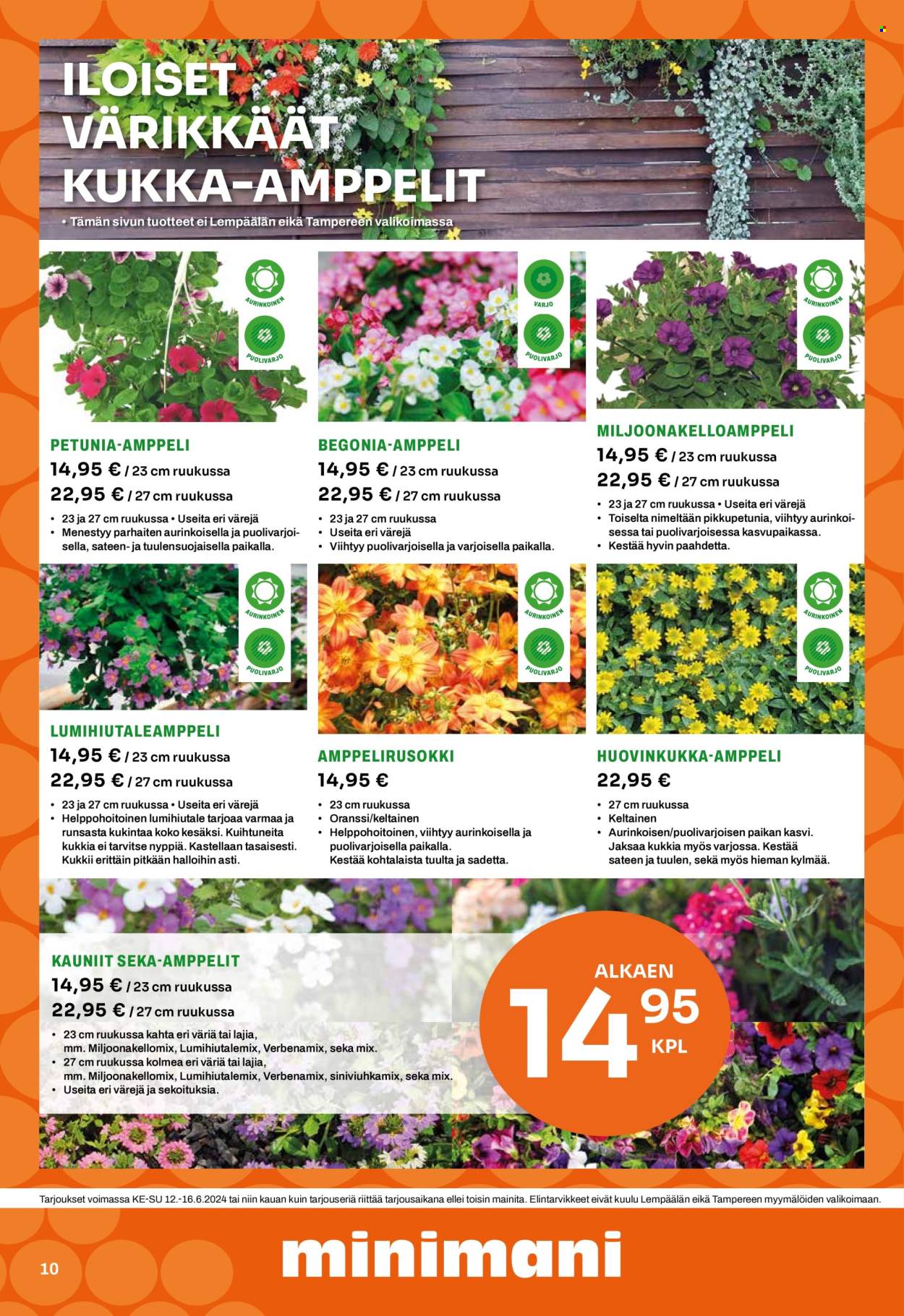 Minimani tarjoukset - 12.06.2024 - 16.06.2024. Sivu 10