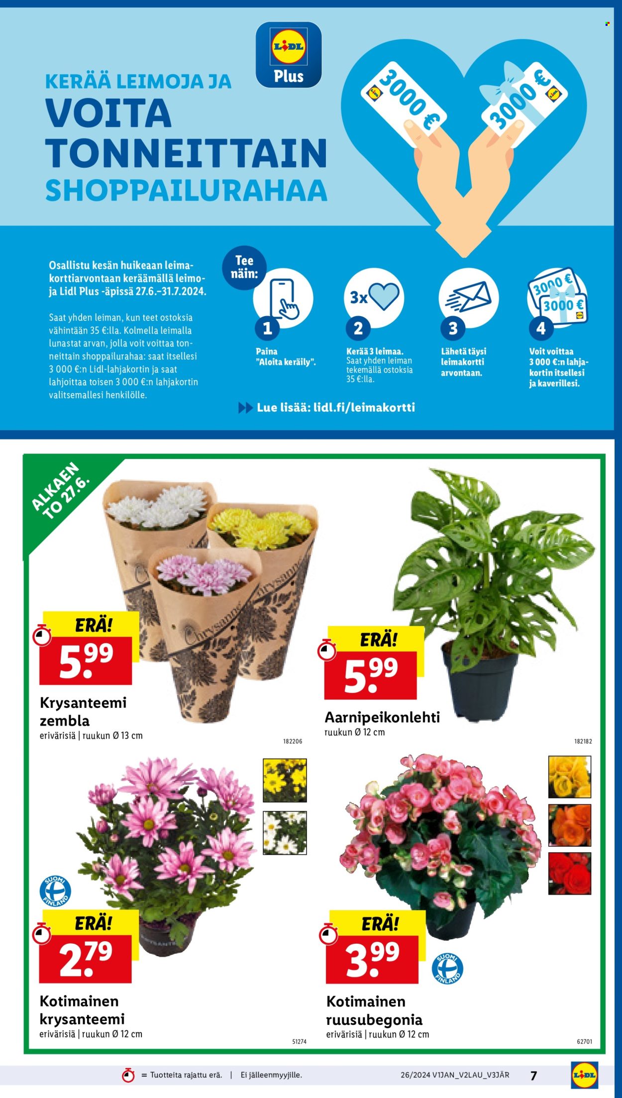 Lidl tarjoukset - 27.06.2024 - 03.07.2024. Sivu 9
