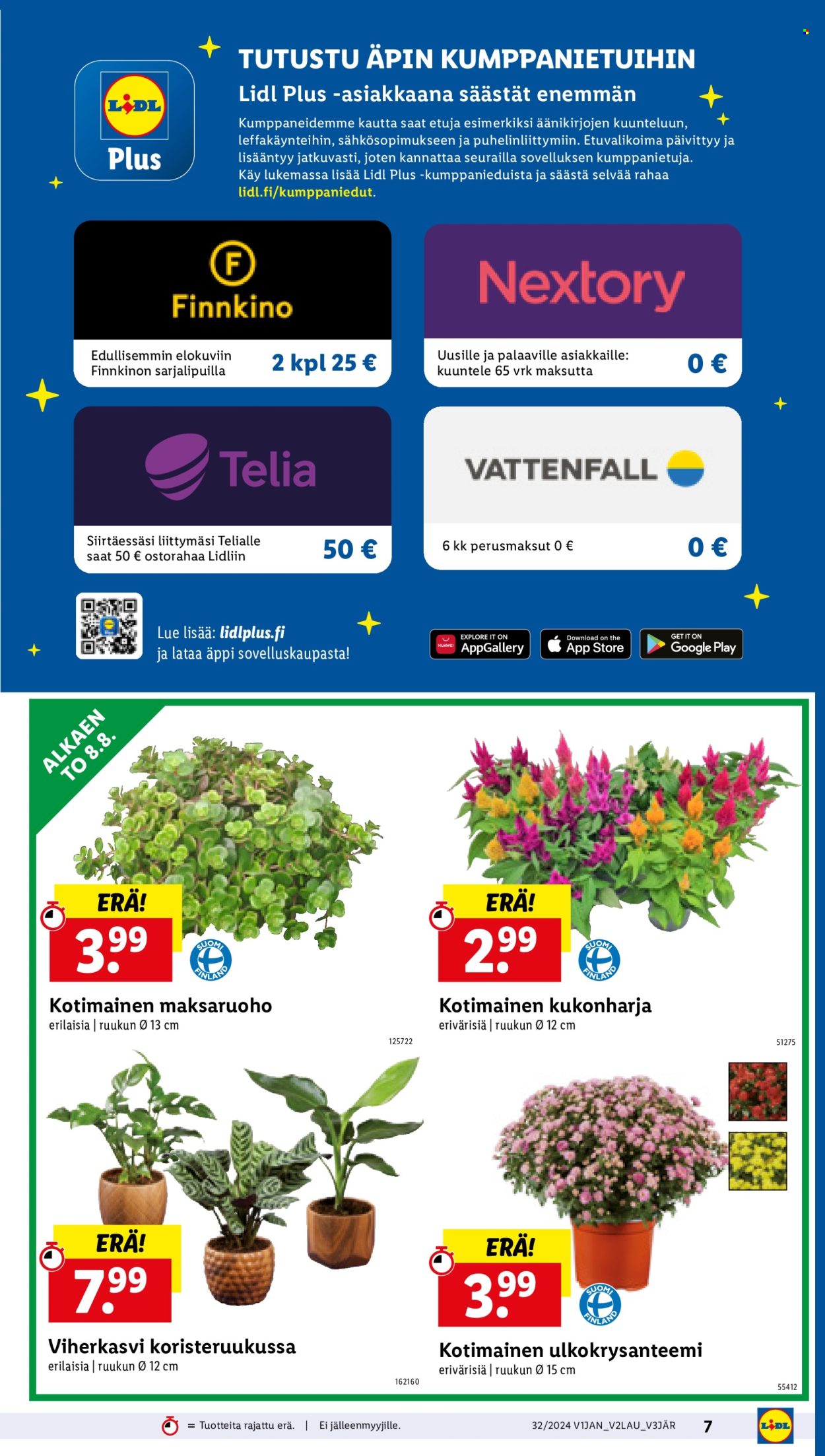 Lidl tarjoukset - 08.08.2024 - 14.08.2024. Sivu 9