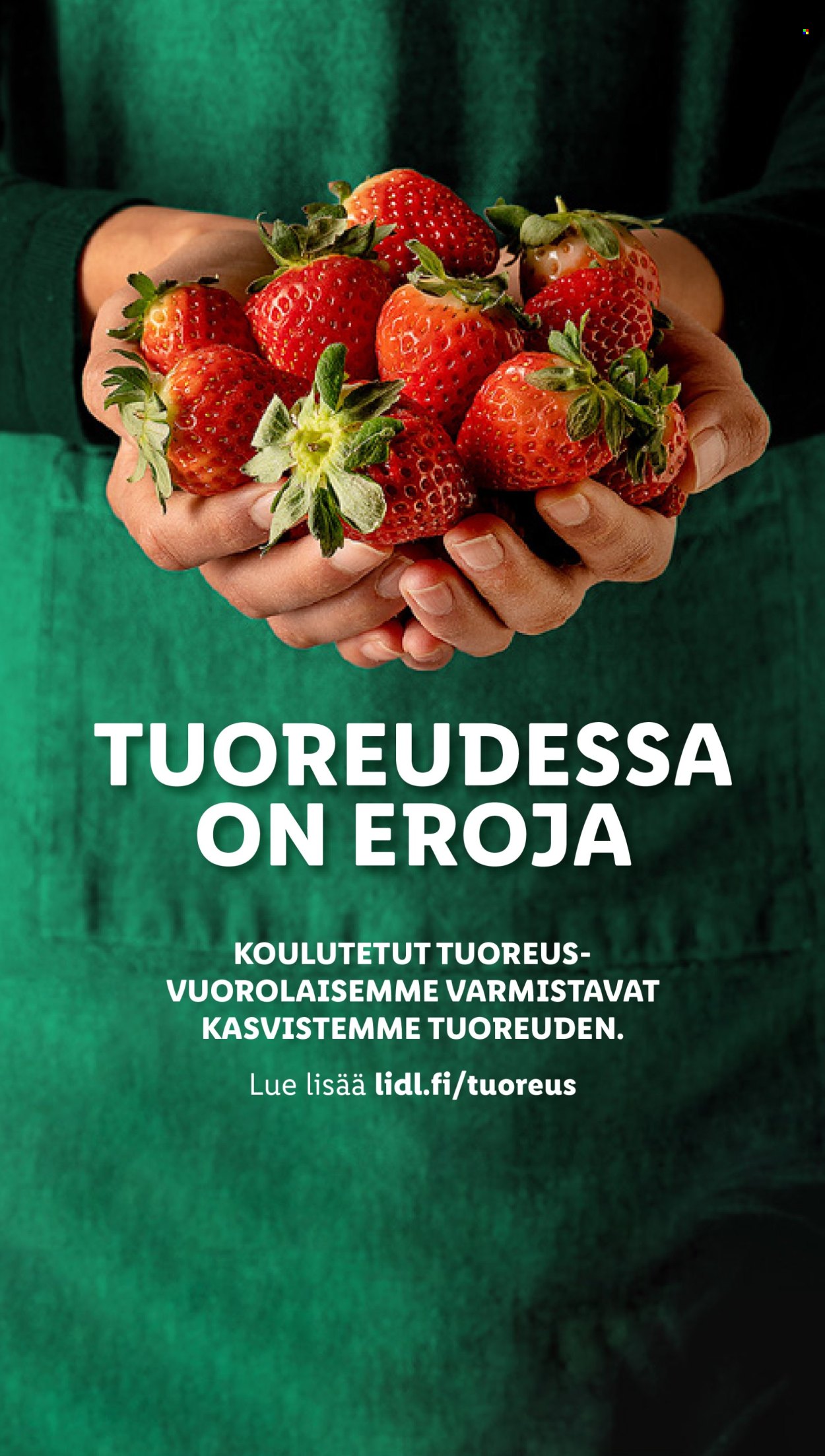 Lidl tarjoukset - 22.08.2024 - 28.08.2024. Sivu 24