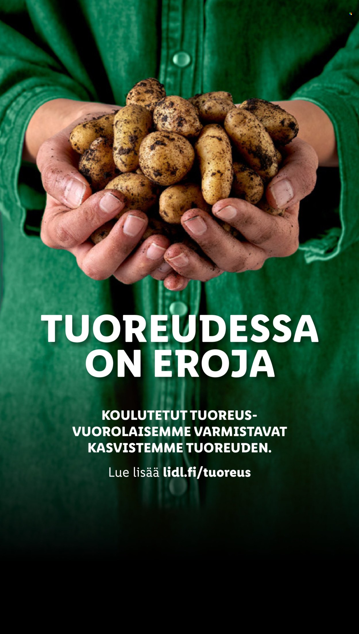 Lidl tarjoukset - 29.08.2024 - 04.09.2024. Sivu 24