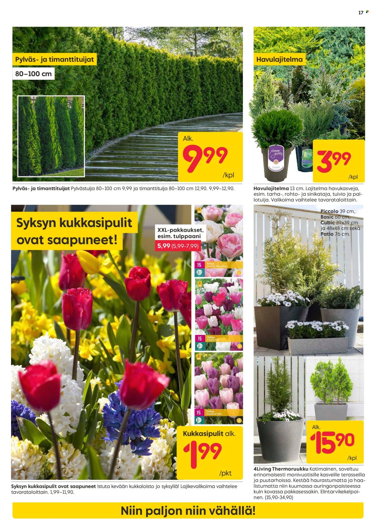 Rusta tarjoukset - 02.09.2024 - 08.09.2024. Sivu 17