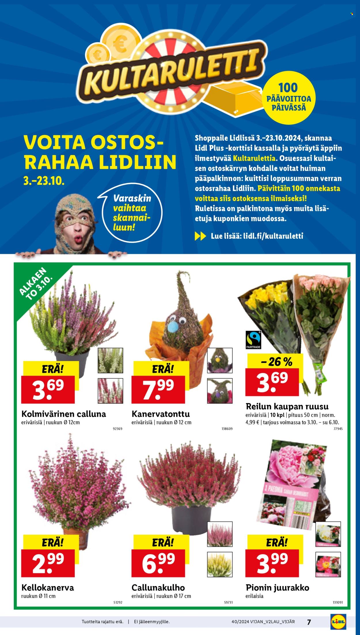 Lidl tarjoukset - 03.10.2024 - 09.10.2024. Sivu 7