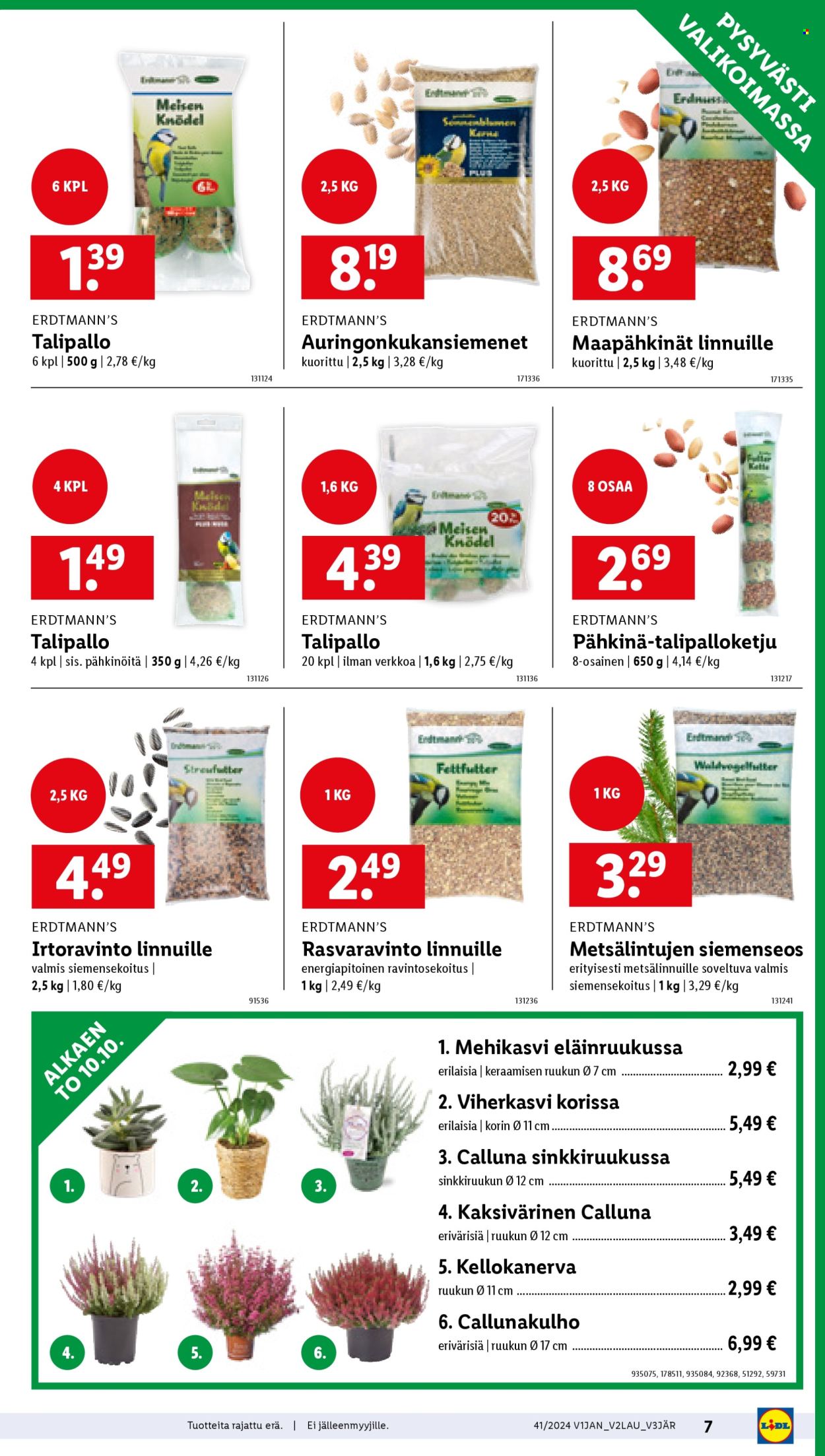 Lidl tarjoukset - 10.10.2024 - 16.10.2024. Sivu 7