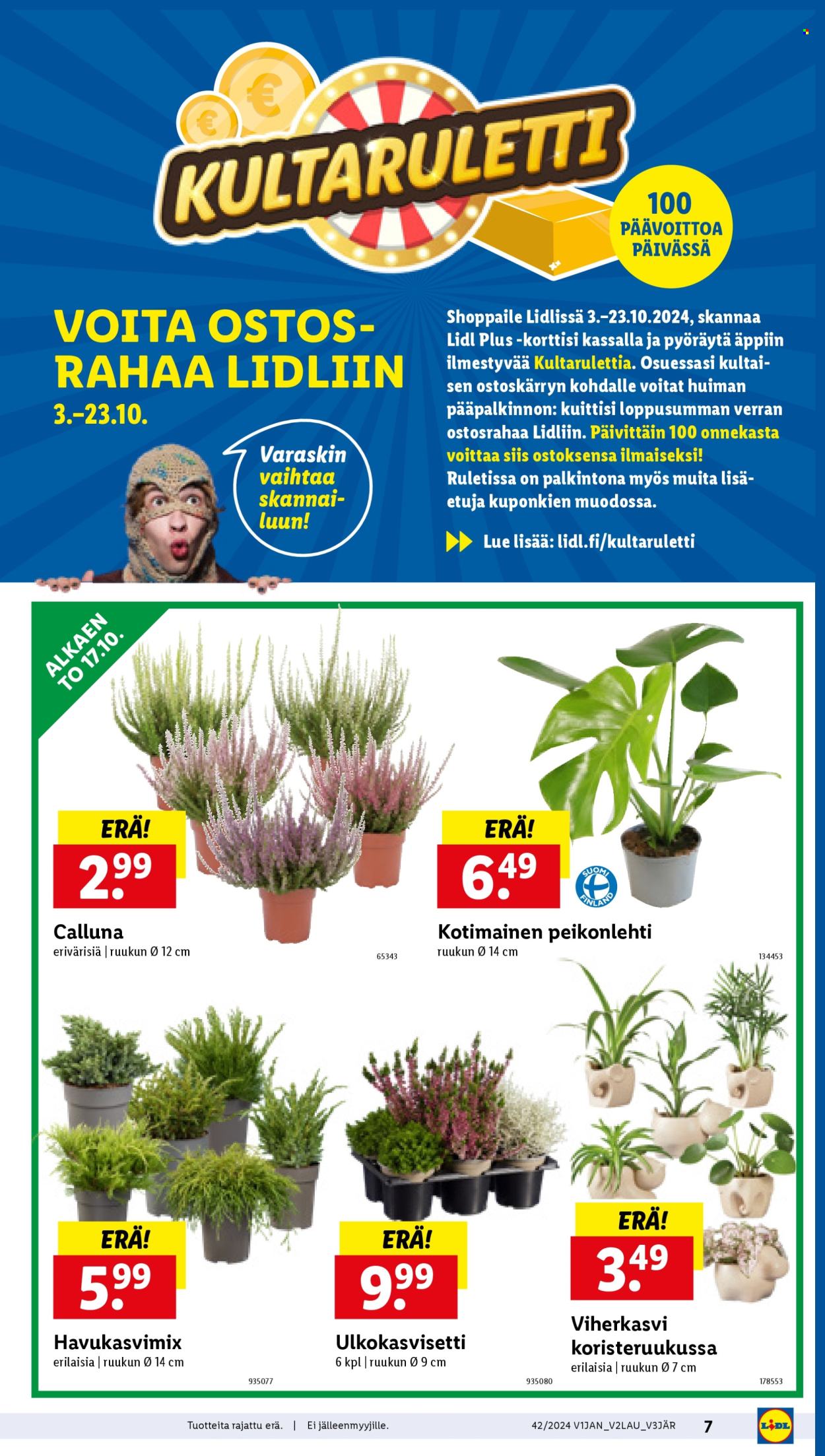 Lidl tarjoukset - 17.10.2024 - 23.10.2024. Sivu 9