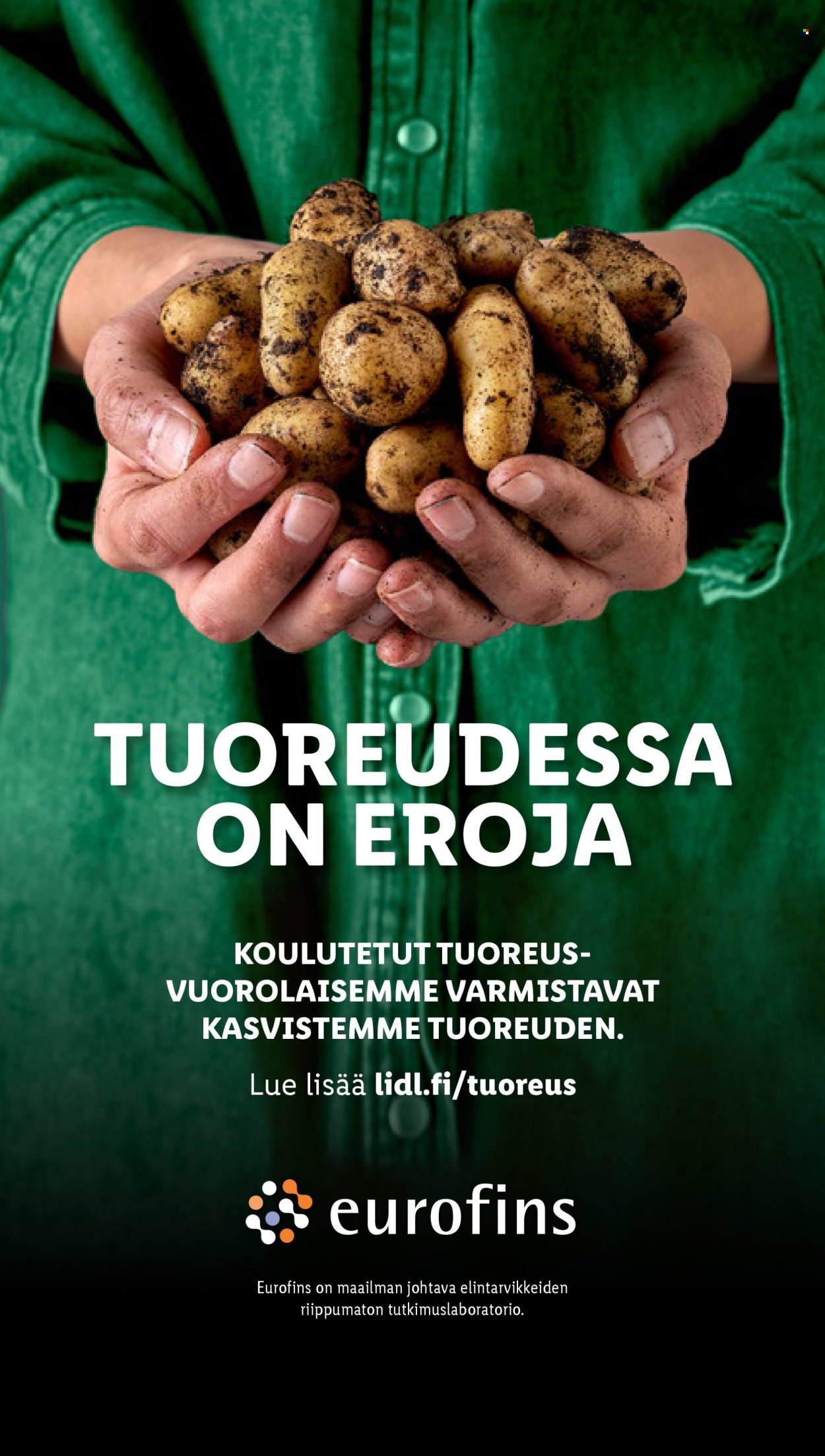 Lidl tarjoukset - 17.10.2024 - 23.10.2024. Sivu 26