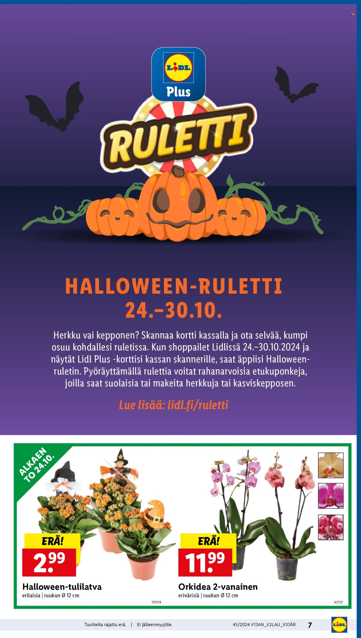 Lidl tarjoukset - 24.10.2024 - 30.10.2024. Sivu 9