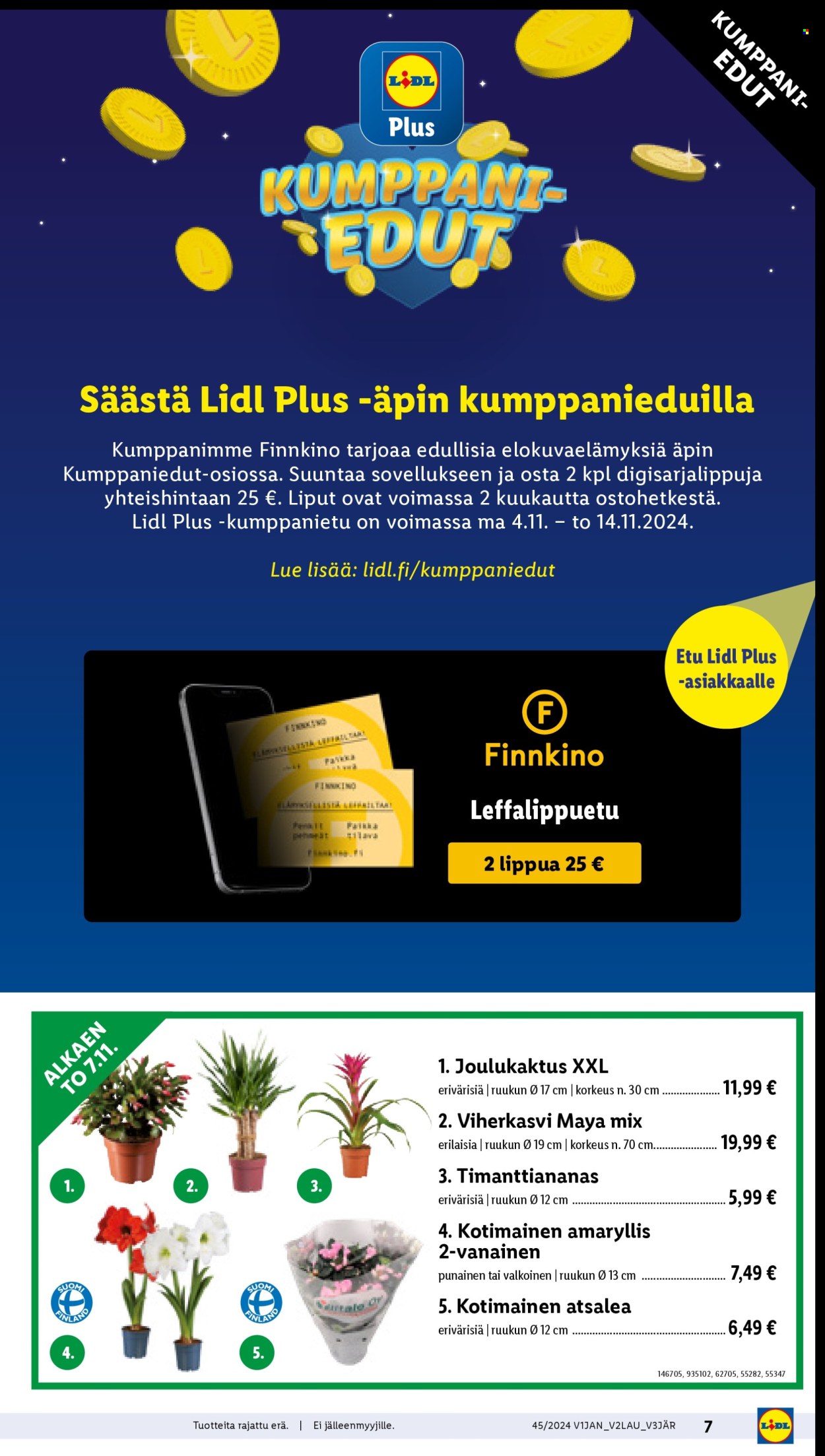Lidl tarjoukset - 07.11.2024 - 13.11.2024. Sivu 9