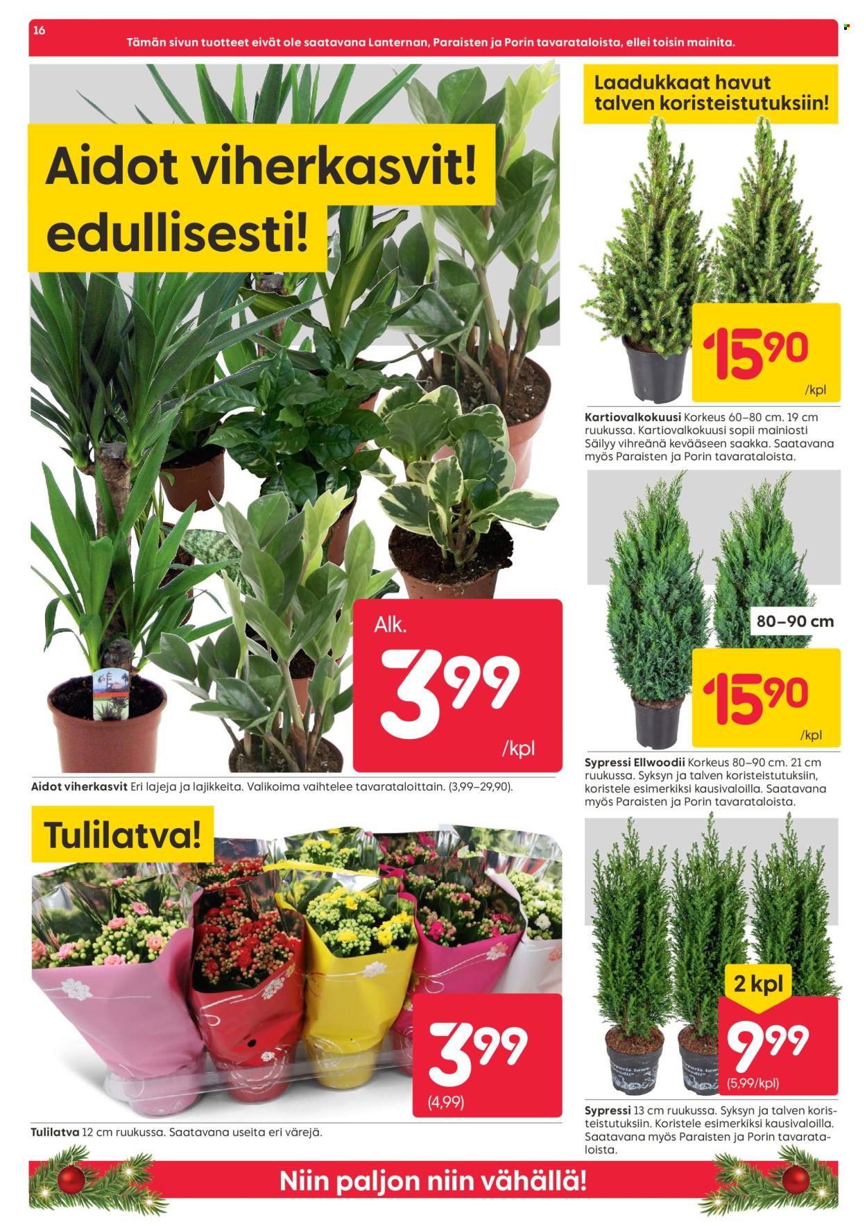 Rusta tarjoukset - 04.11.2024 - 10.11.2024. Sivu 16