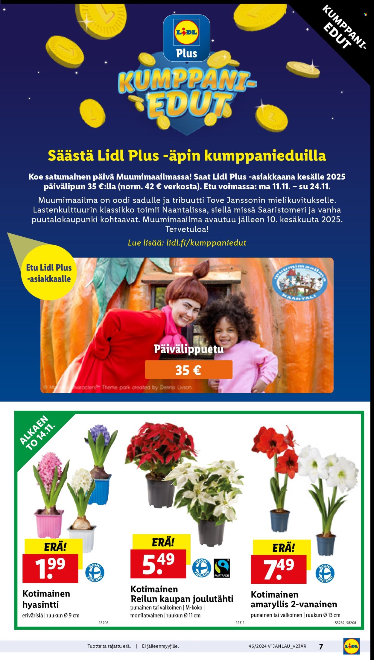 Lidl tarjoukset - 14.11.2024 - 20.11.2024. Sivu 9