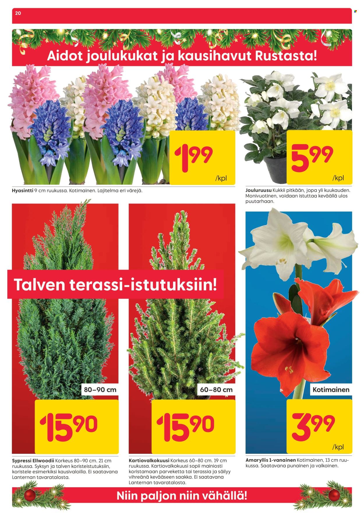 Rusta tarjoukset - 18.11.2024 - 24.11.2024. Sivu 20