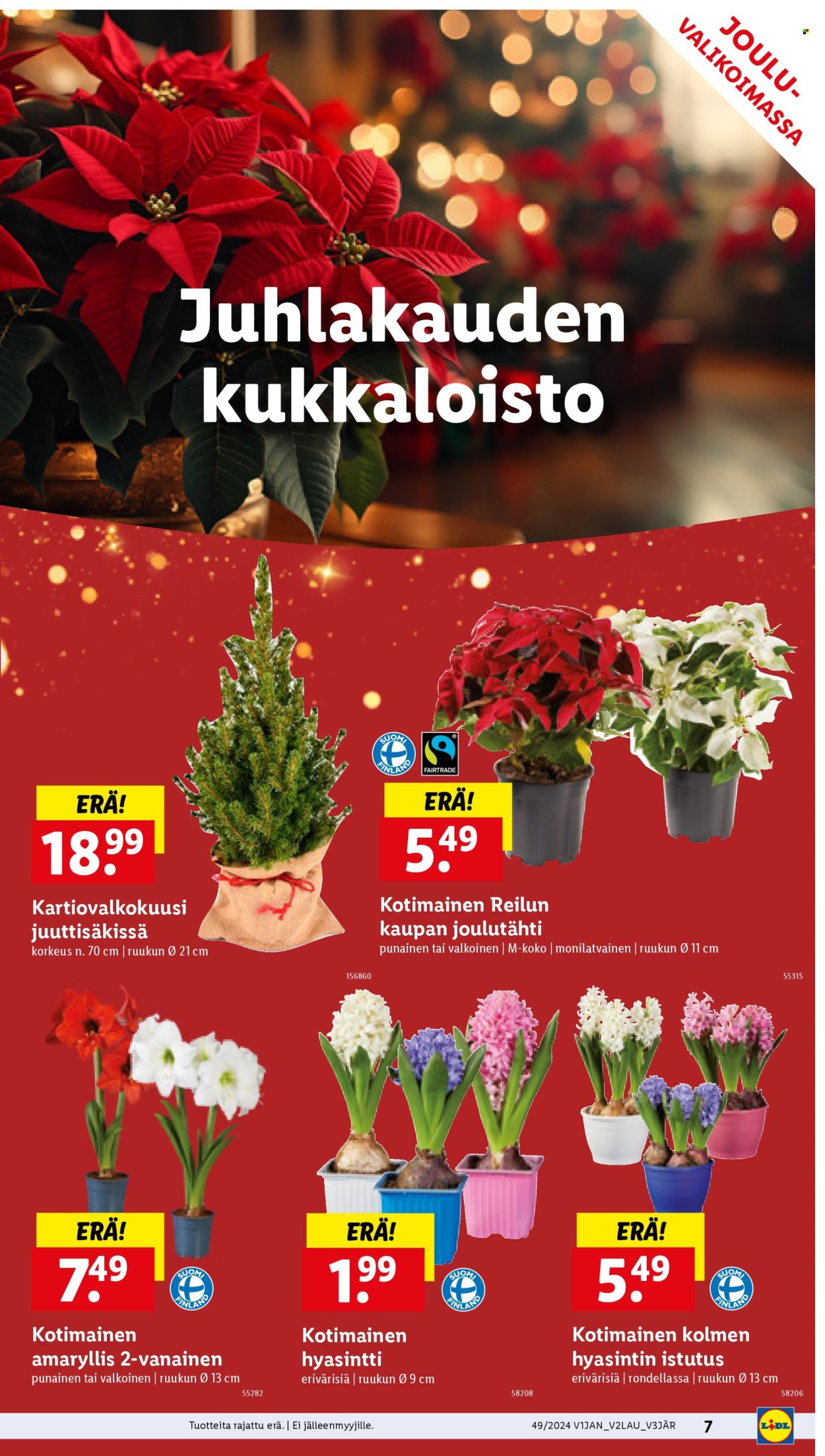 Lidl tarjoukset - 04.12.2024 - 11.12.2024. Sivu 9