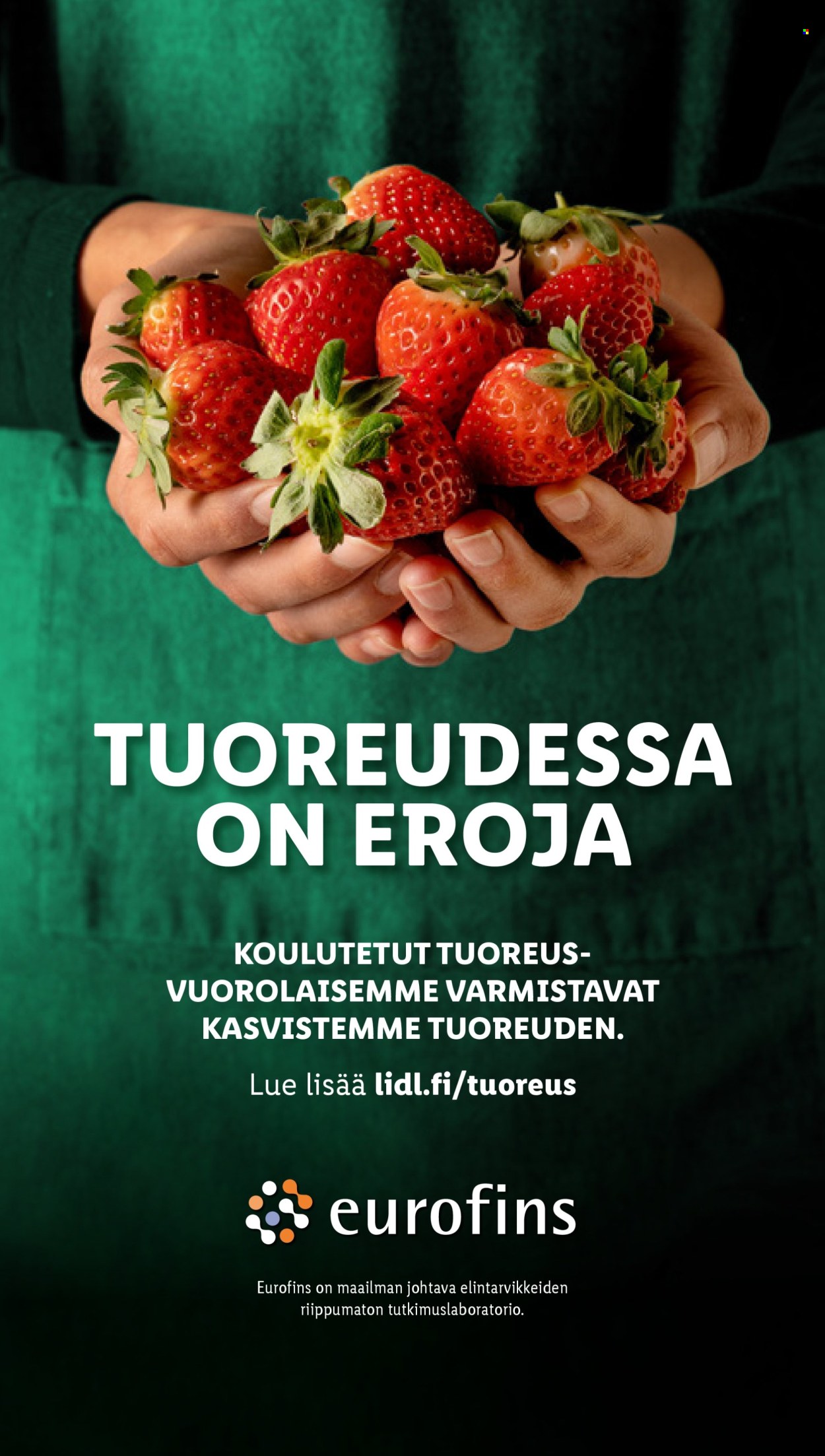 Lidl tarjoukset - 12.12.2024 - 18.12.2024. Sivu 25