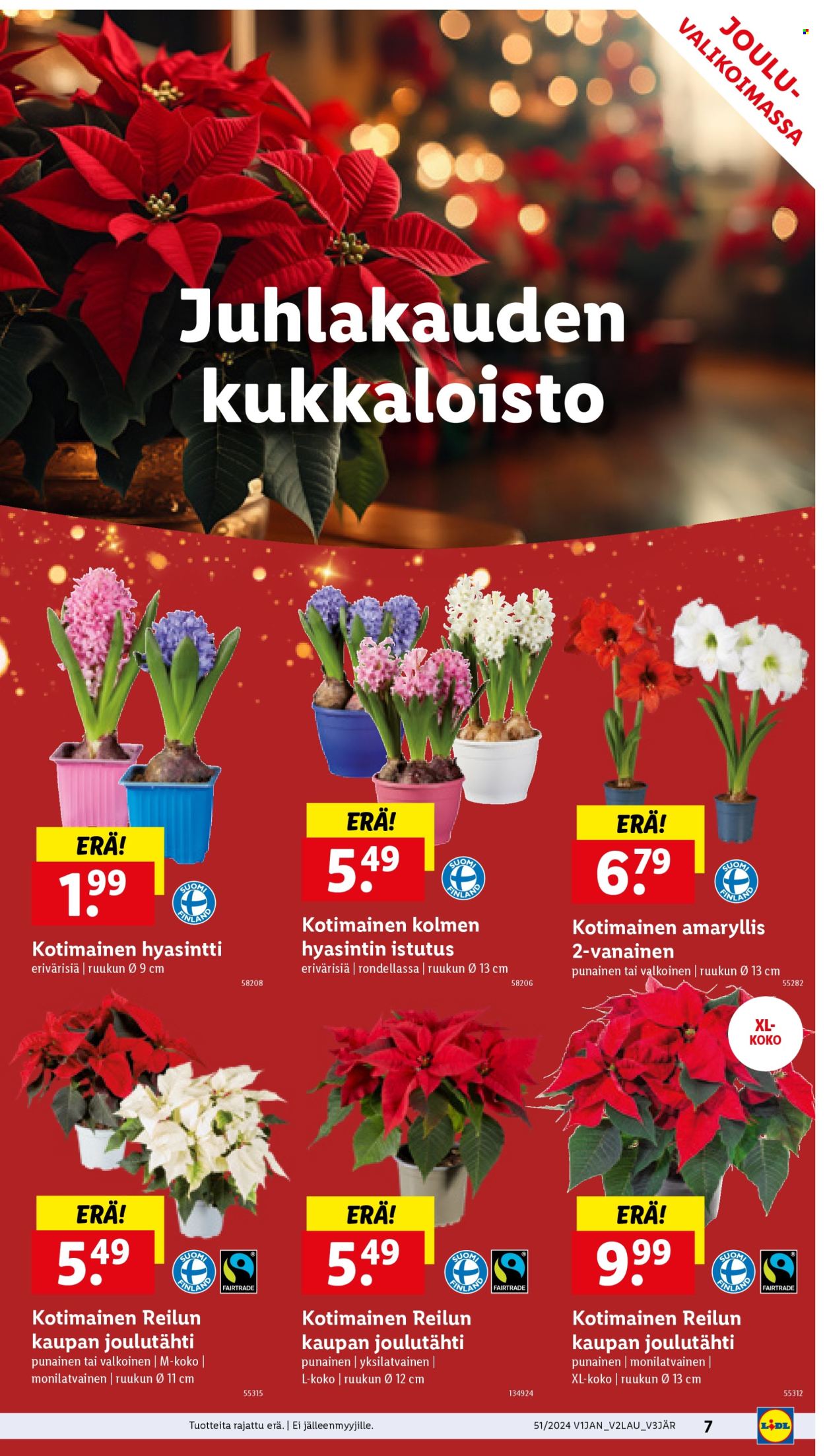 Lidl tarjoukset - 19.12.2024 - 26.12.2024. Sivu 9