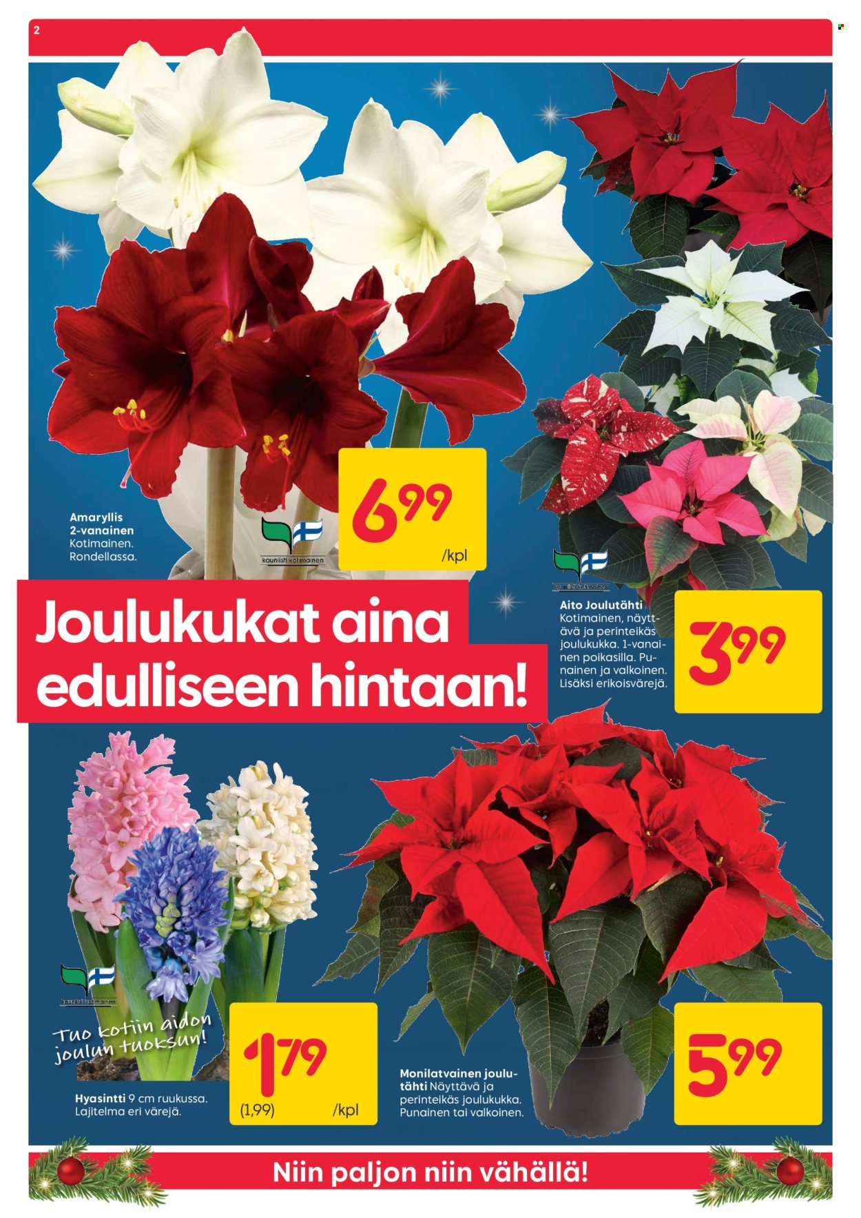 Rusta tarjoukset - 16.12.2024 - 23.12.2024. Sivu 2