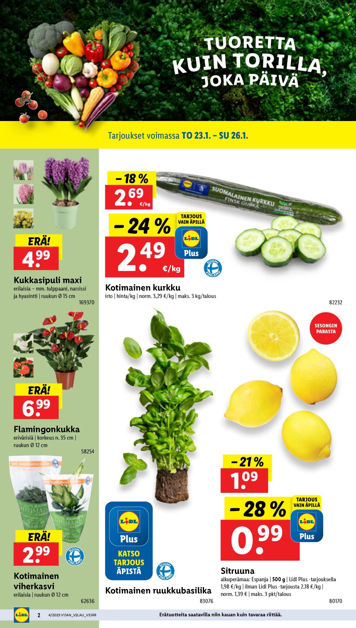 Lidl tarjoukset - 23.01.2025 - 29.01.2025. Sivu 2