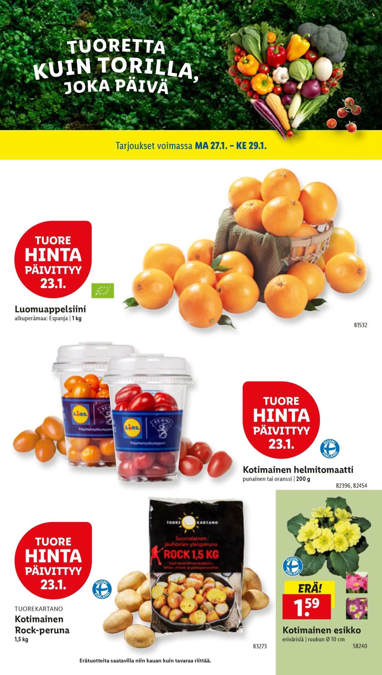 Lidl tarjoukset - 23.01.2025 - 29.01.2025. Sivu 23