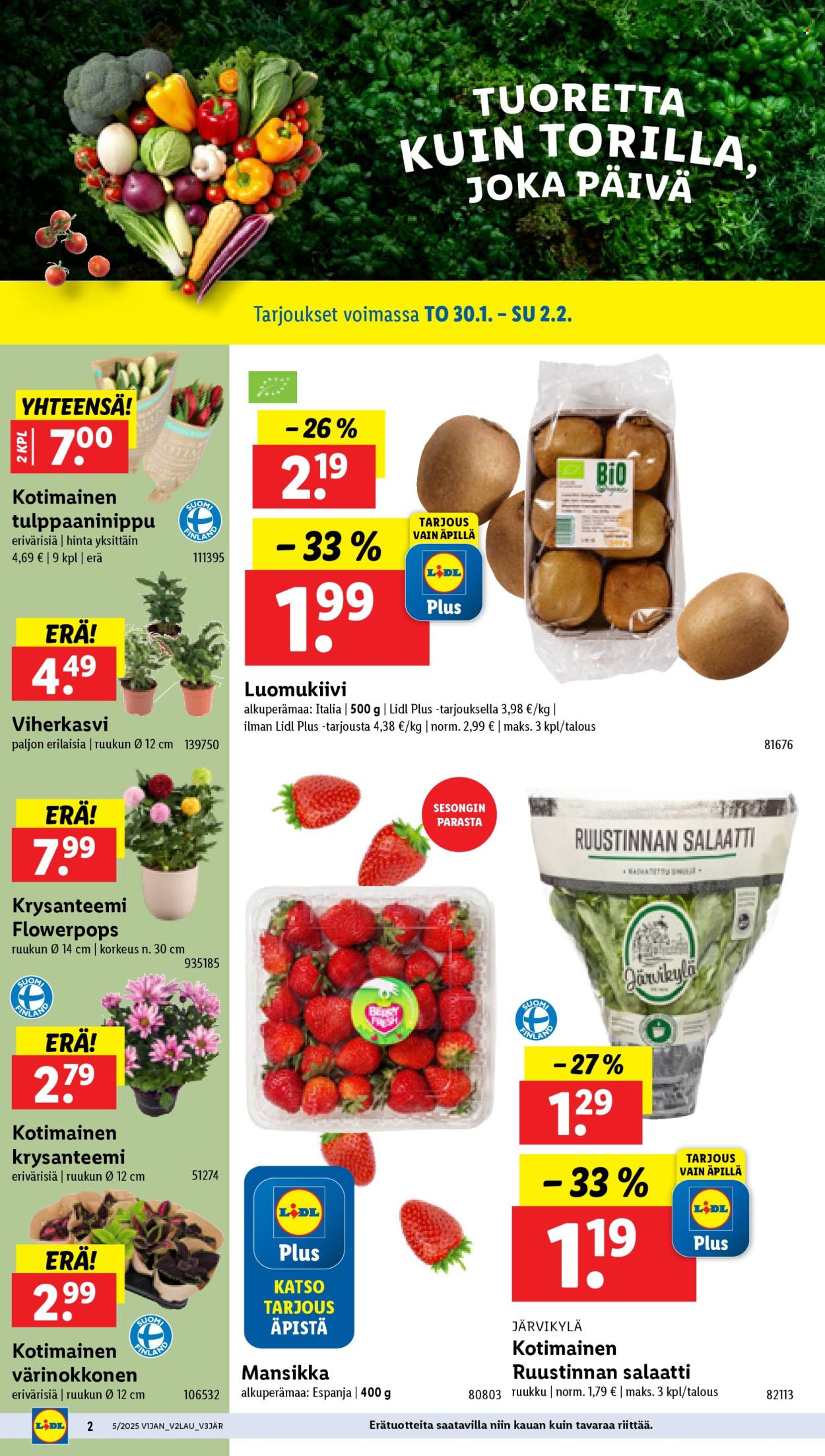 Lidl tarjoukset - 30.01.2025 - 05.02.2025. Sivu 2
