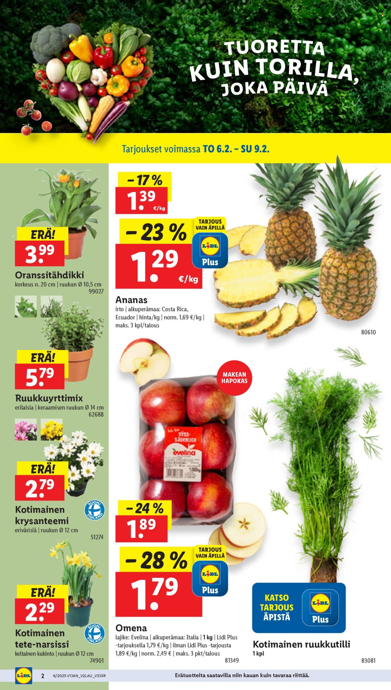 Lidl tarjoukset - 06.02.2025 - 12.02.2025. Sivu 2