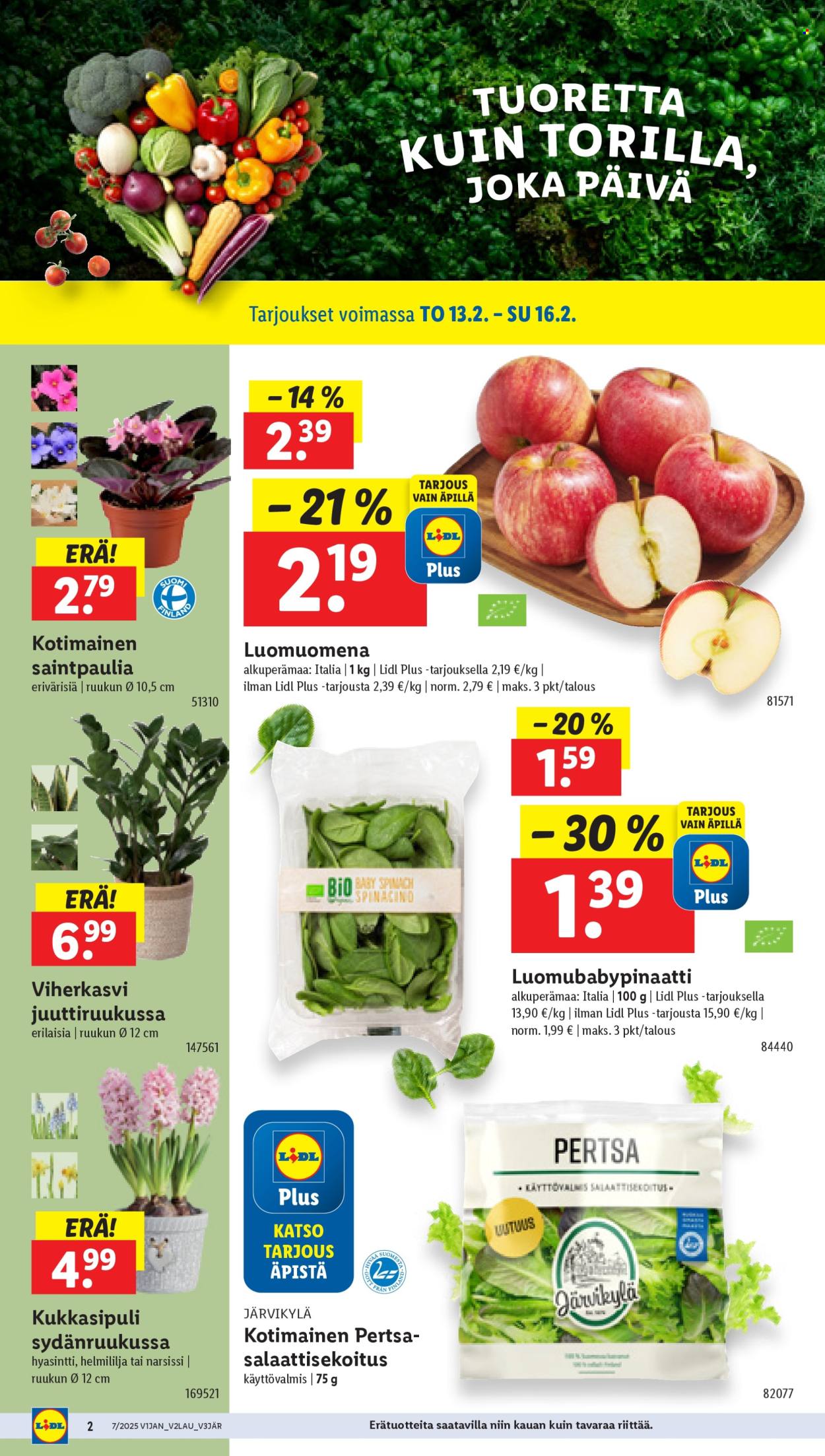 Lidl tarjoukset - 13.02.2025 - 19.02.2025. Sivu 2