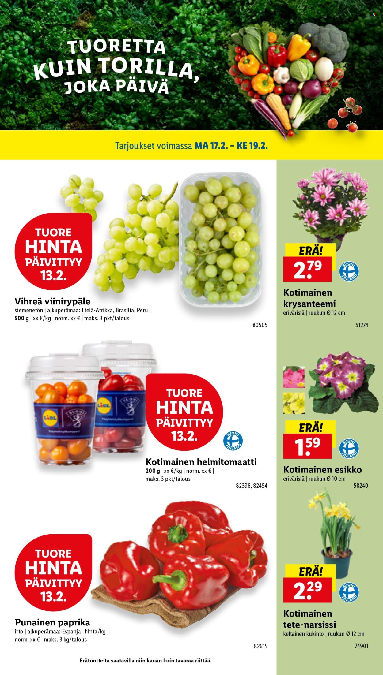 Lidl tarjoukset - 13.02.2025 - 19.02.2025. Sivu 24