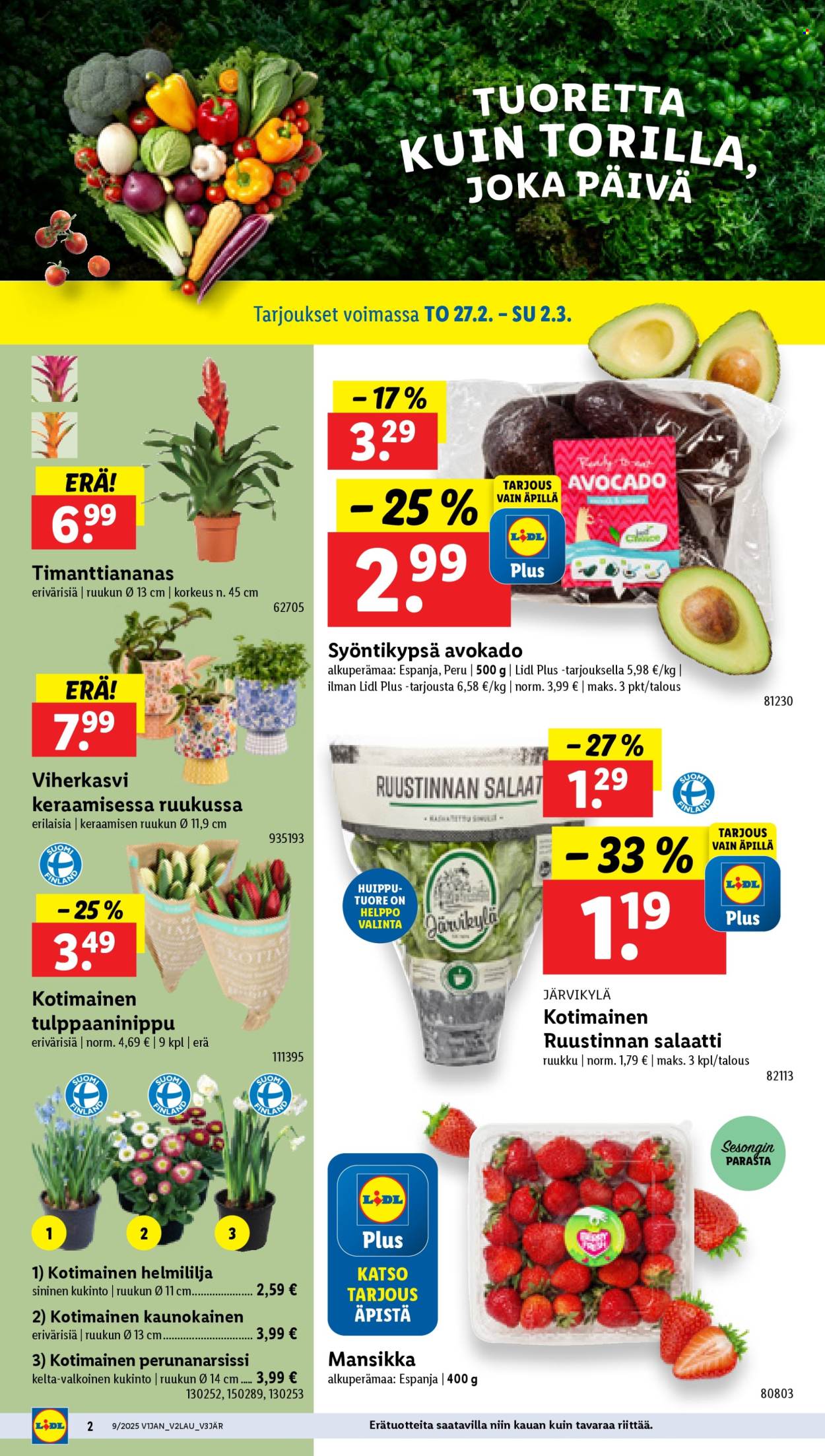Lidl tarjoukset - 27.02.2025 - 05.03.2025. Sivu 2