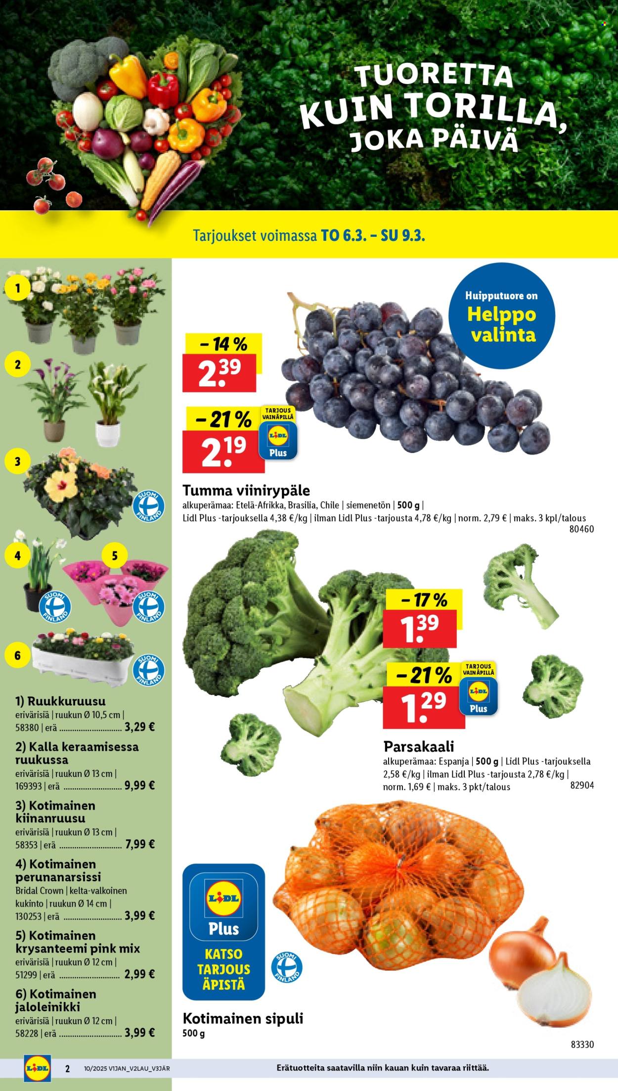 Lidl tarjoukset - 06.03.2025 - 12.03.2025. Sivu 4
