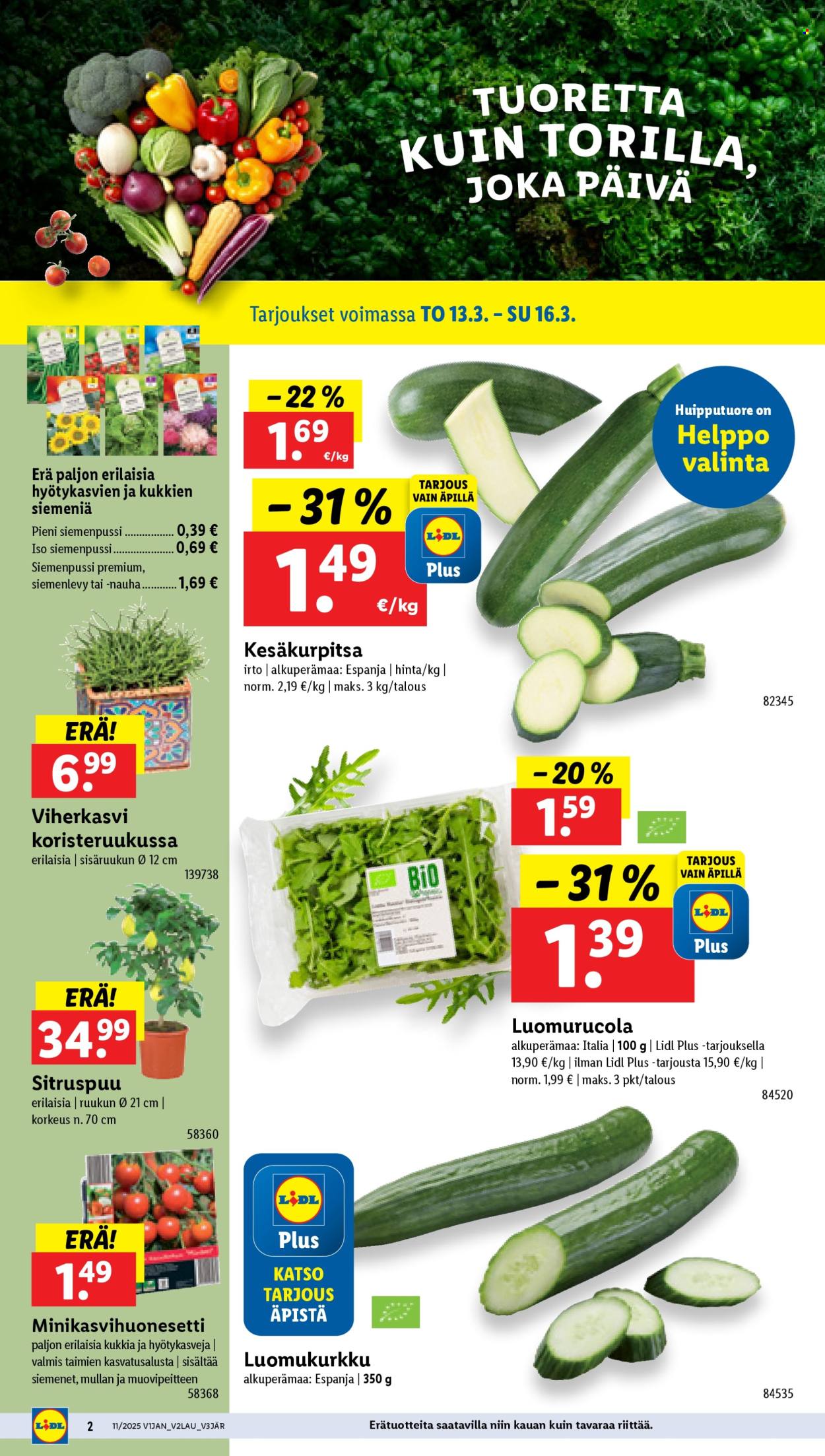 Lidl tarjoukset - 13.03.2025 - 19.03.2025. Sivu 2