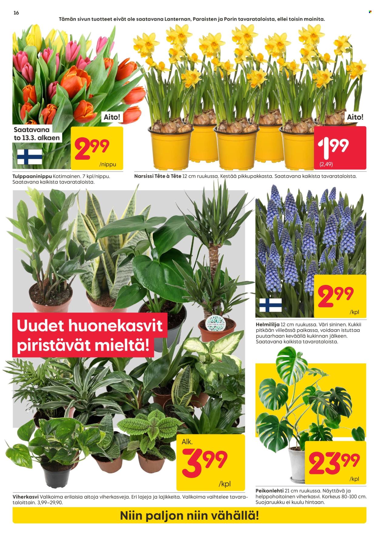 Rusta tarjoukset - 10.03.2025 - 16.03.2025. Sivu 16