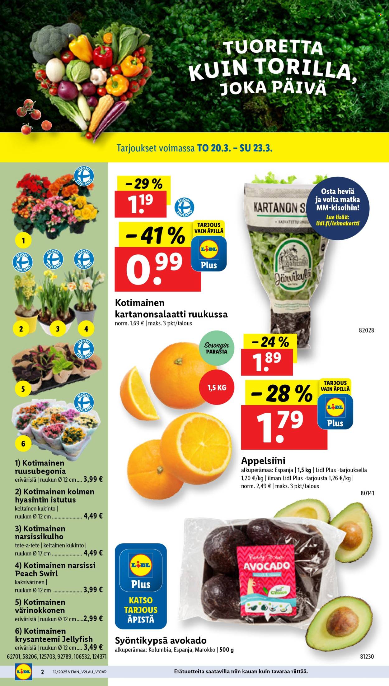 Lidl tarjoukset - 20.03.2025 - 26.03.2025. Sivu 4