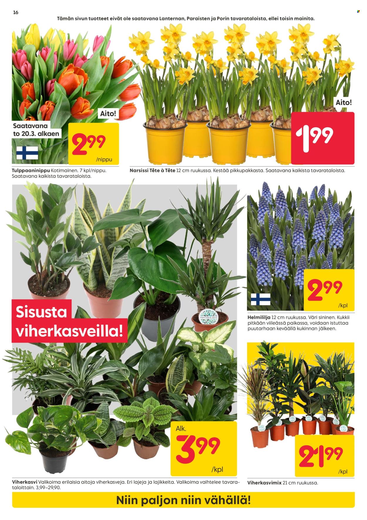 Rusta tarjoukset - 17.03.2025 - 23.03.2025. Sivu 16