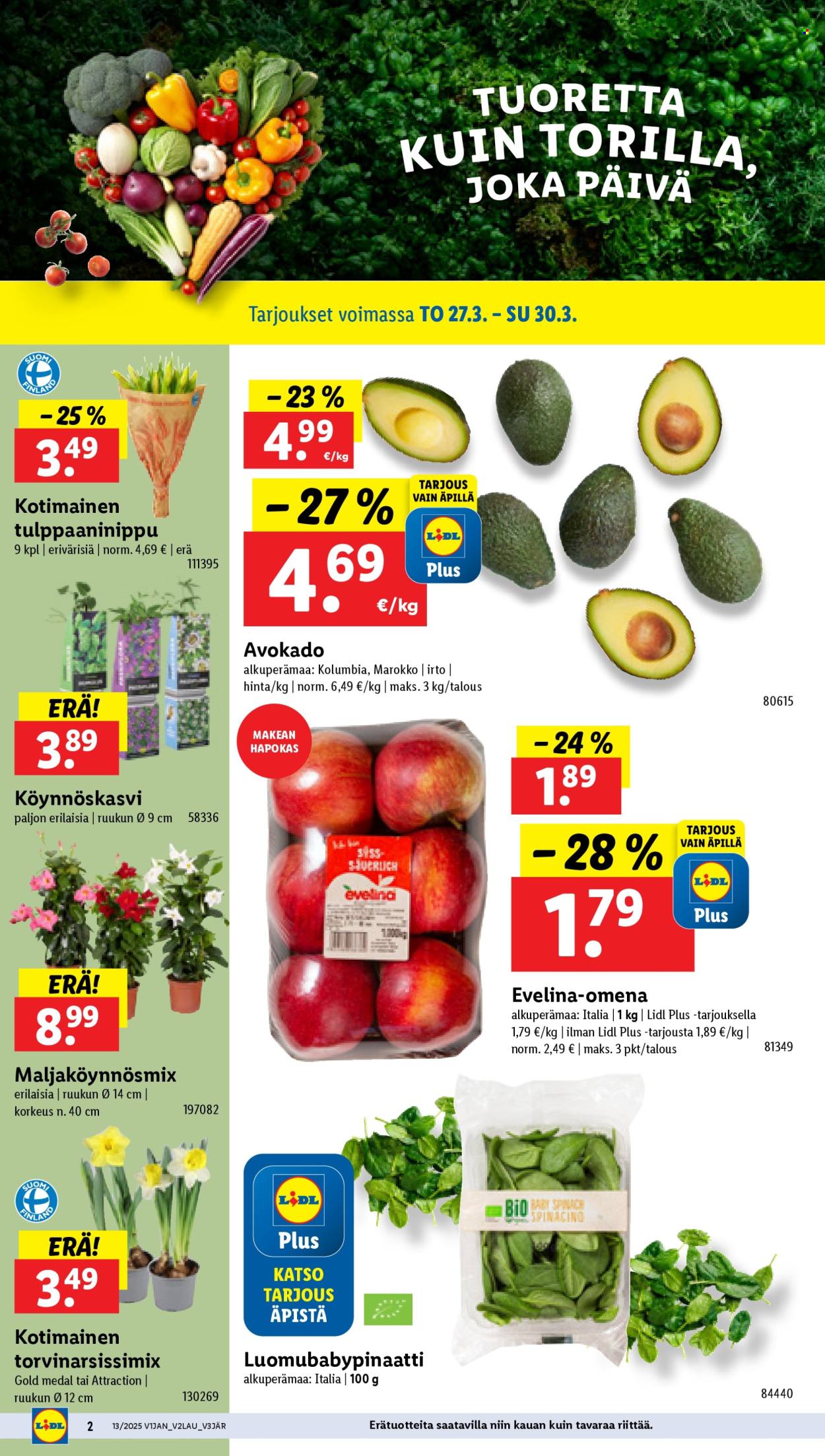 Lidl tarjoukset - 27.03.2025 - 02.04.2025. Sivu 4