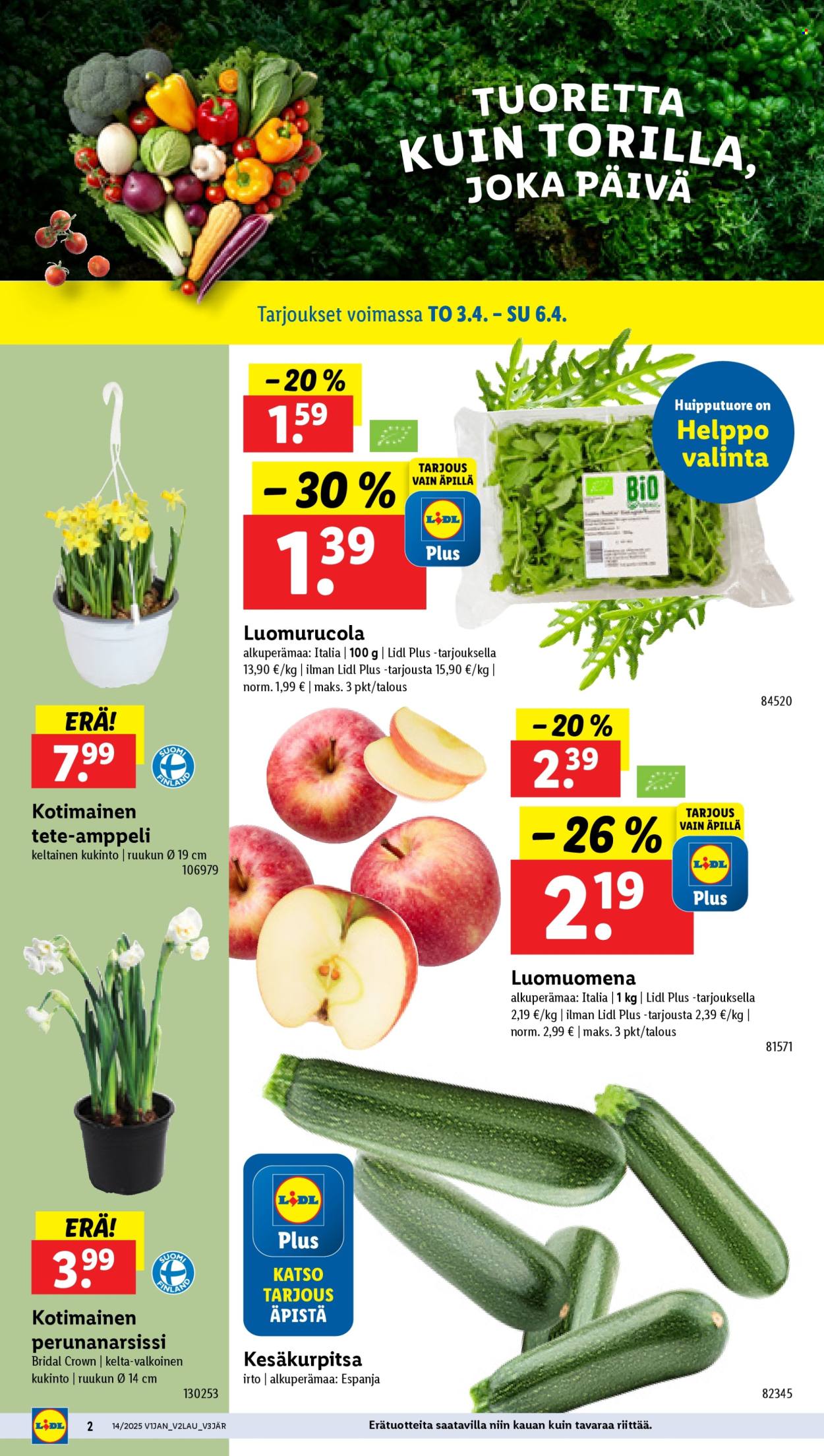 Lidl tarjoukset - 03.04.2025 - 09.04.2025. Sivu 4