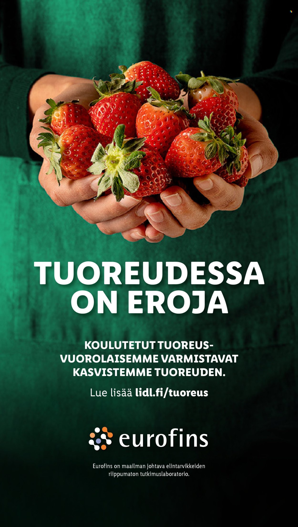 Lidl tarjoukset - 03.04.2025 - 09.04.2025. Sivu 22