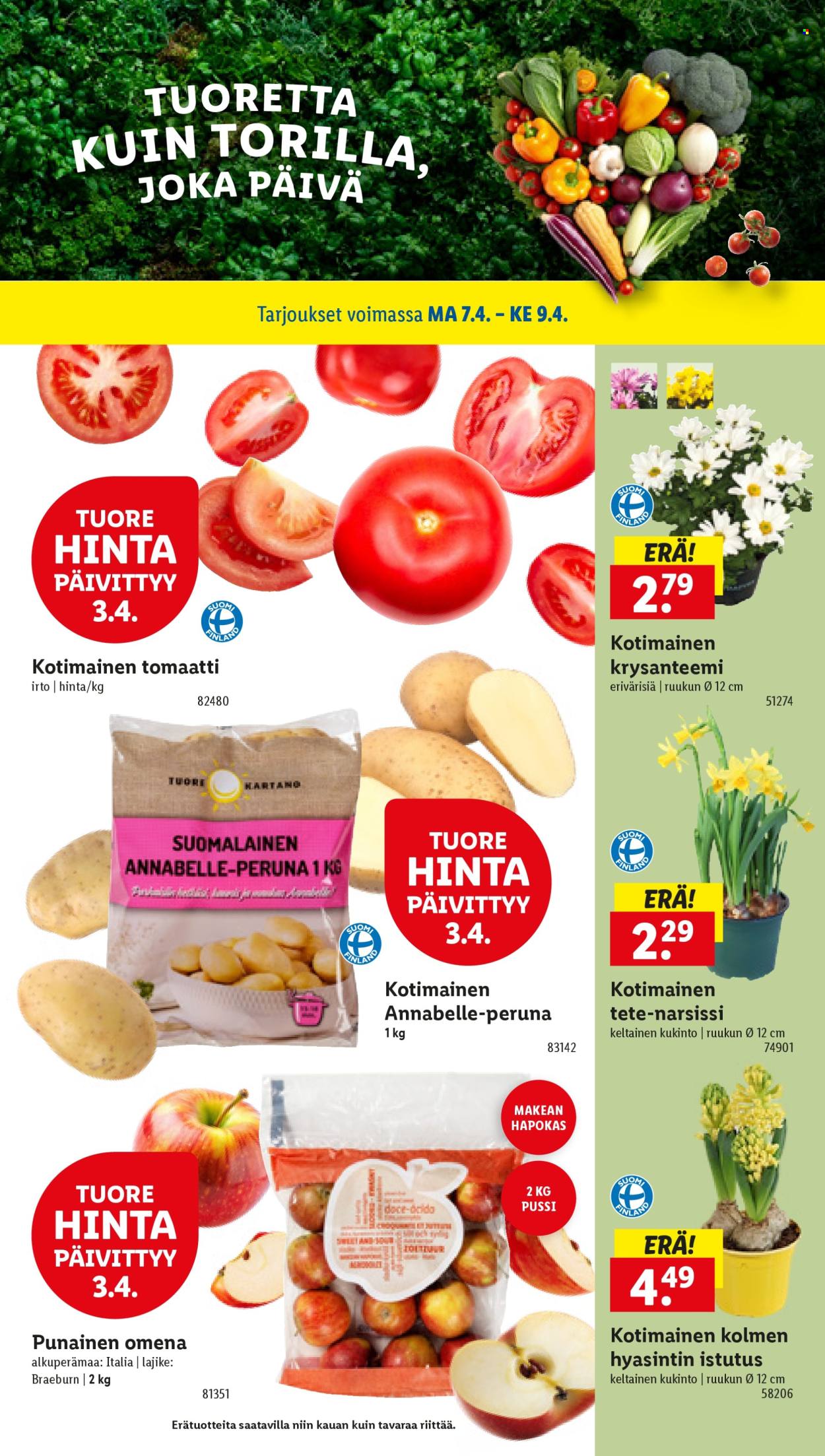 Lidl tarjoukset - 03.04.2025 - 09.04.2025. Sivu 23